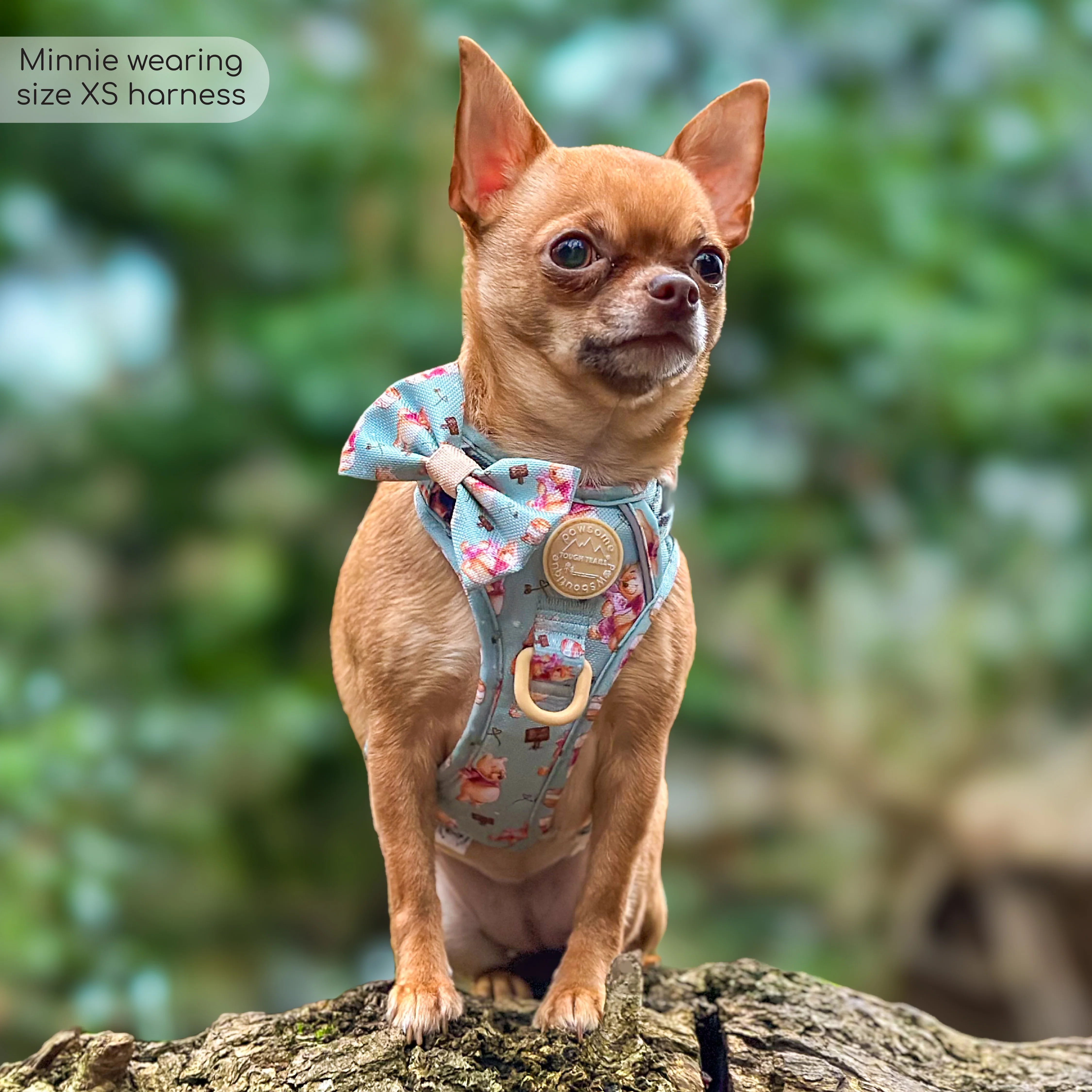 Disney© Tough Trails™ Harness - Winnie The Pooh - Image 36
