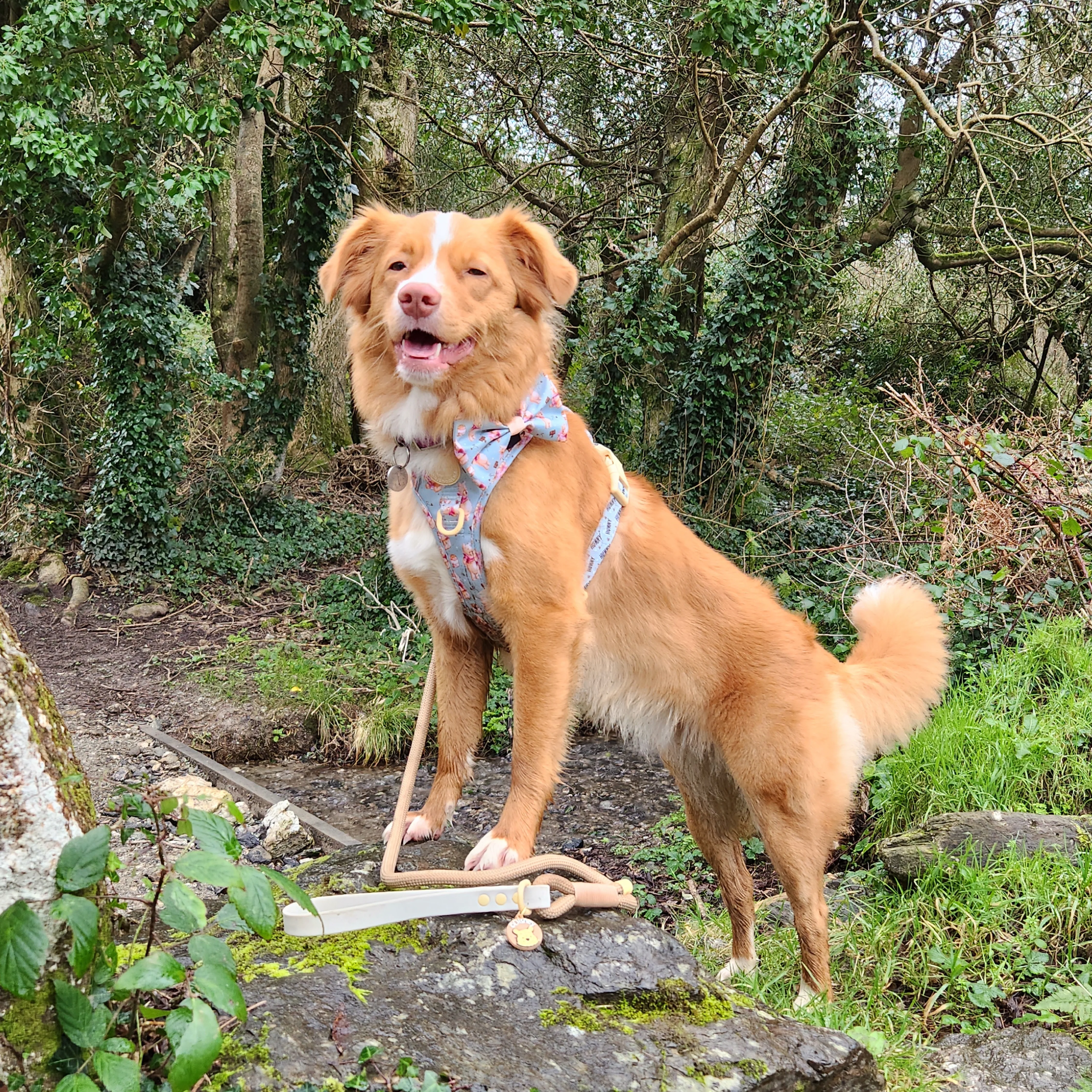Disney© Tough Trails™ Harness - Winnie The Pooh - Image 50