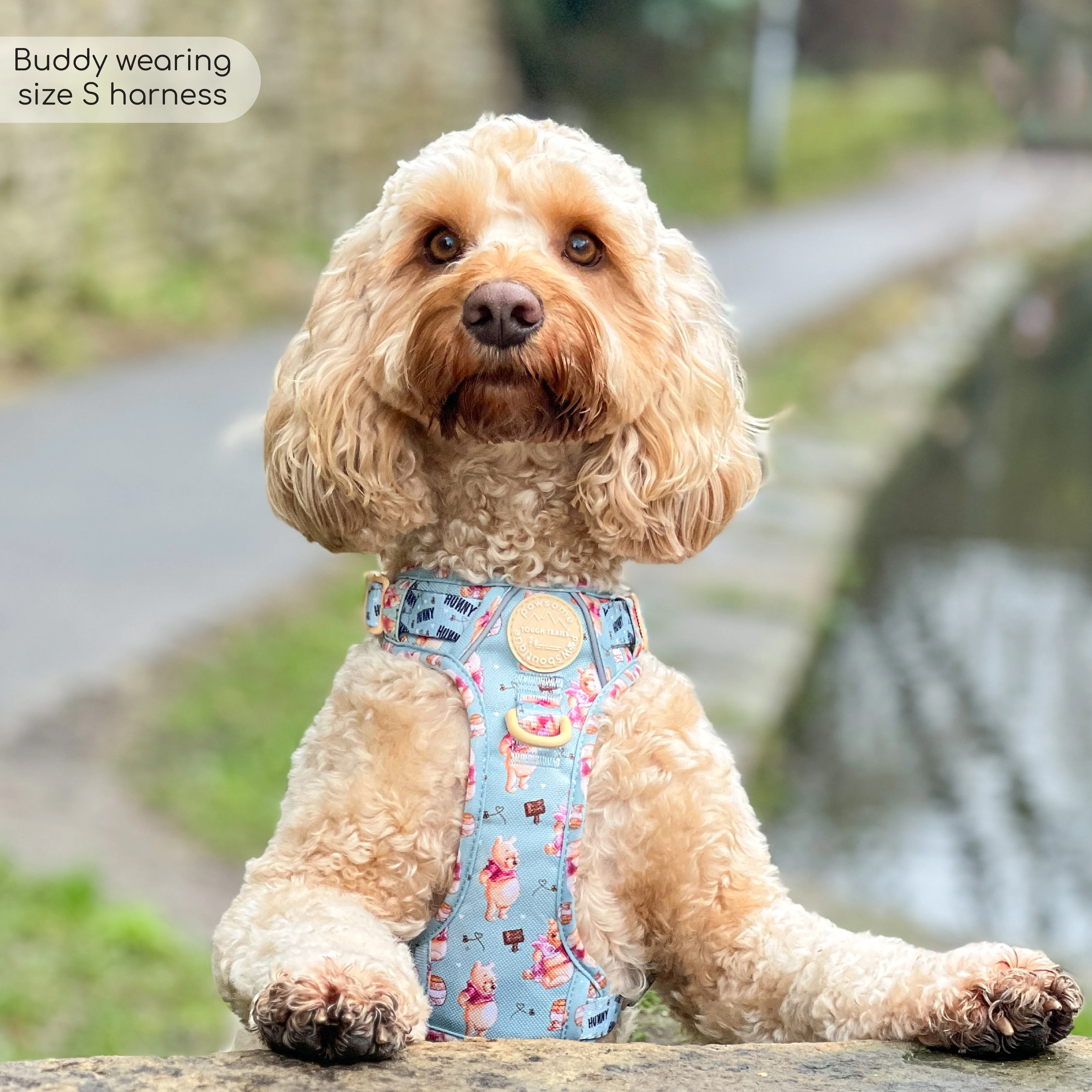 Disney© Tough Trails™ Harness - Winnie The Pooh - Image 8