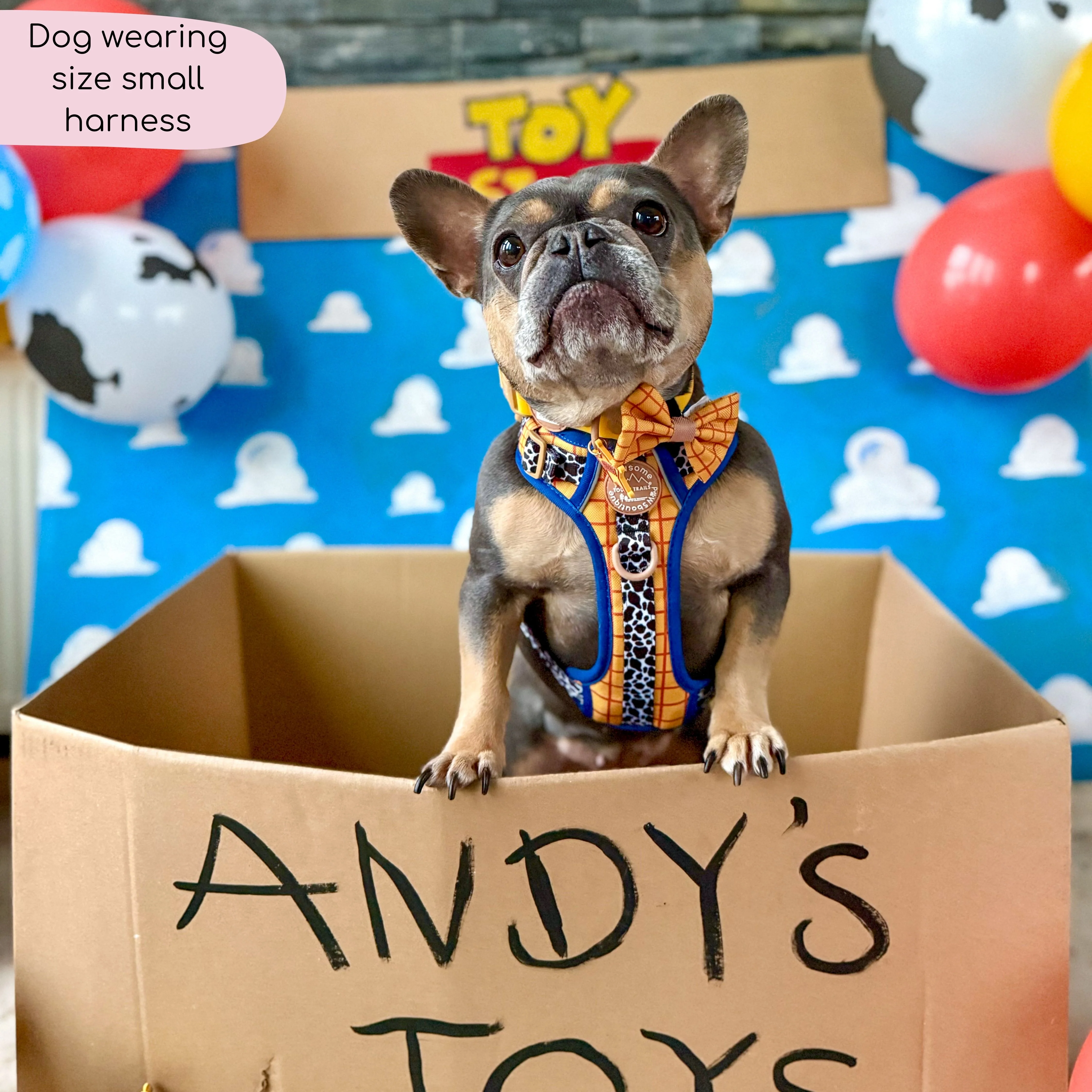 Disney© Tough Trails™ Harness - Woody - Image 11