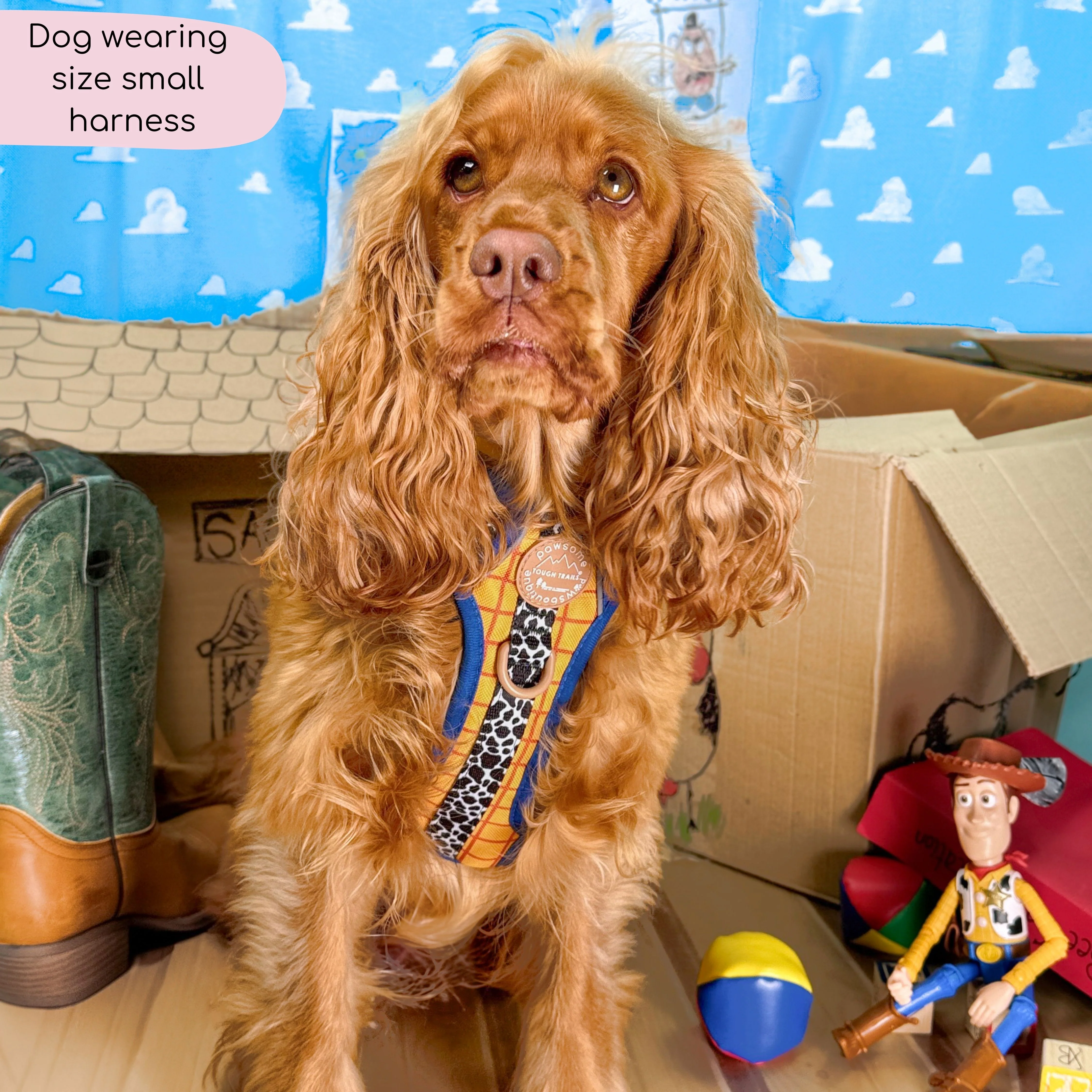 Disney© Tough Trails™ Harness - Woody - Image 23