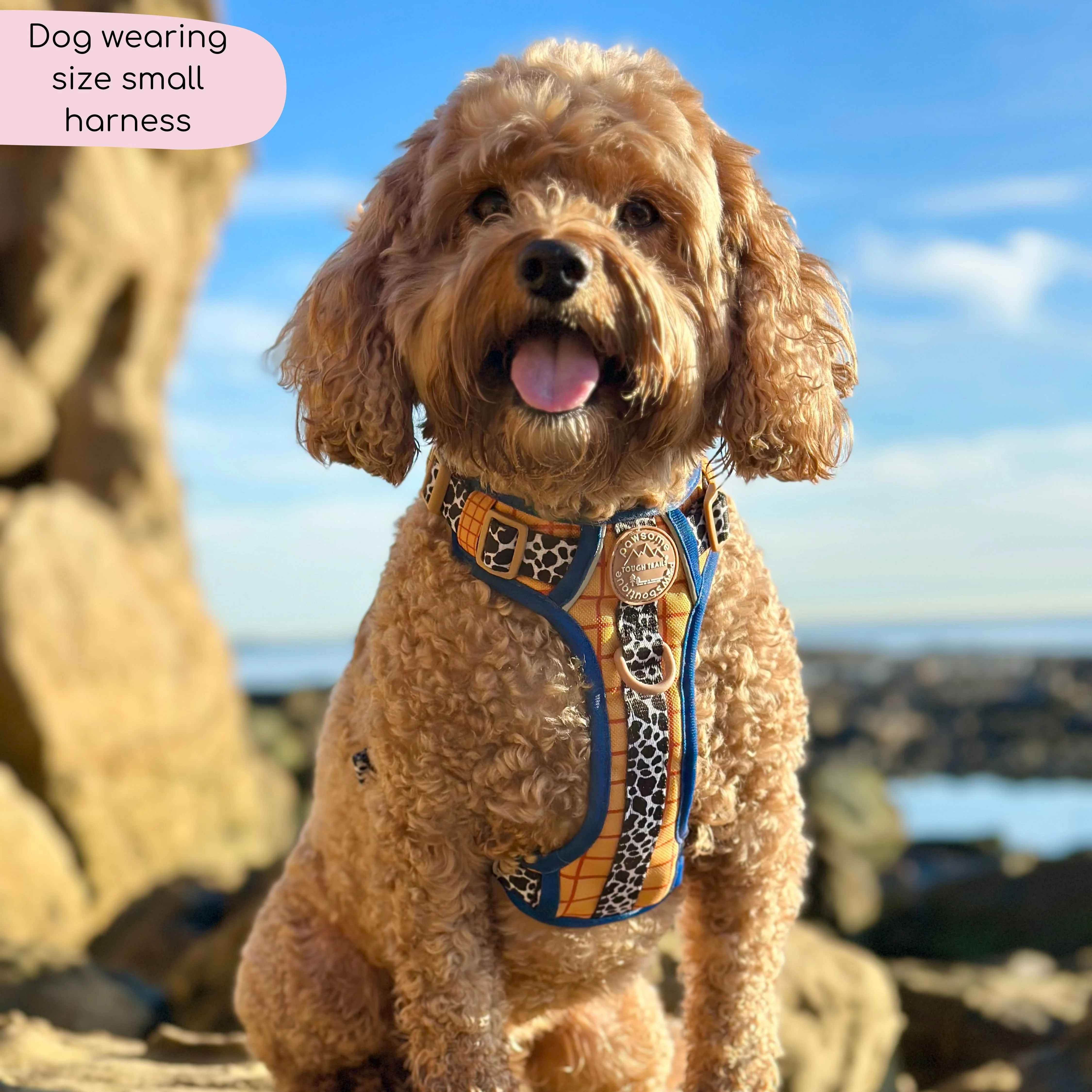 Disney© Tough Trails™ Harness - Woody - Image 7