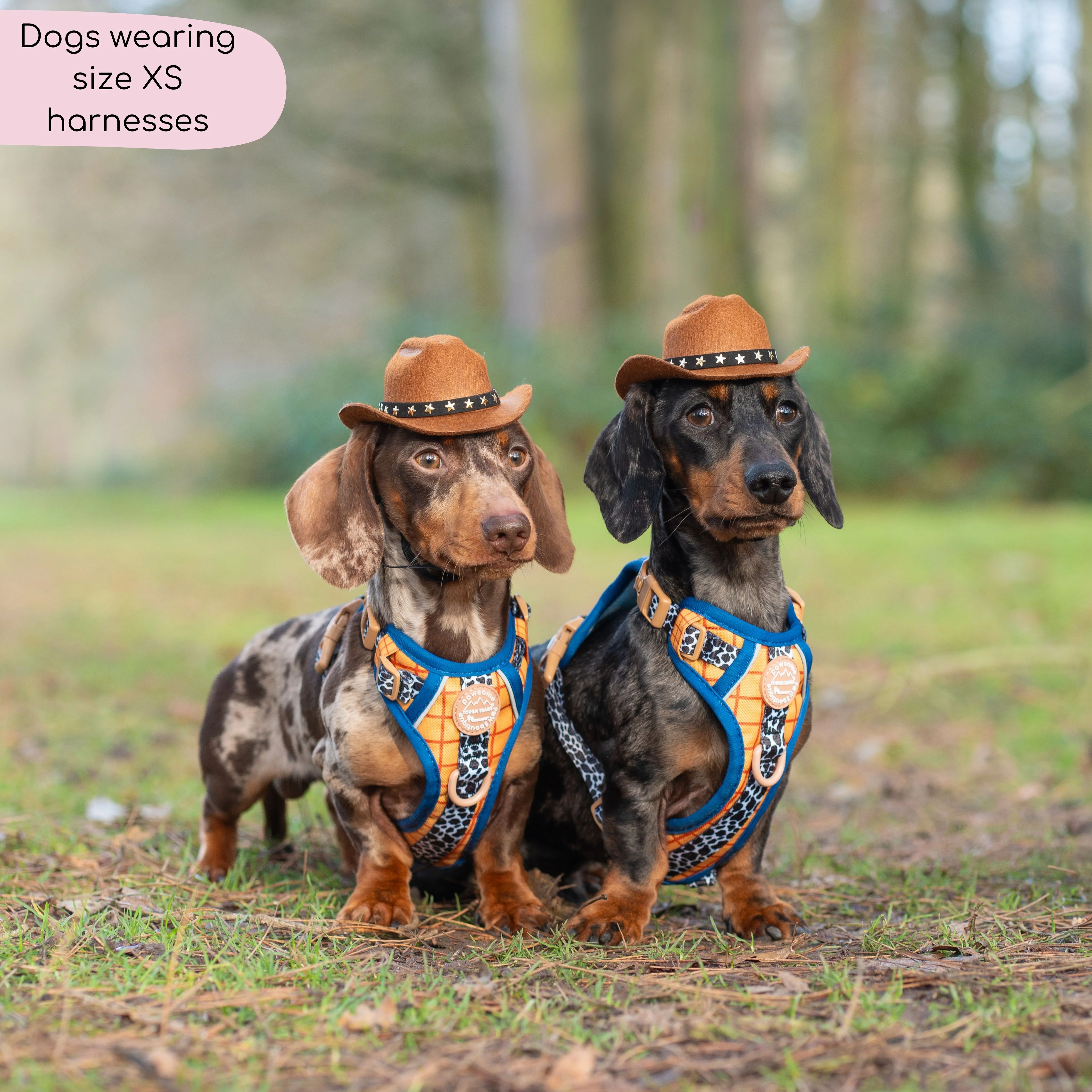 Disney© Tough Trails™ Harness - Woody - Image 8
