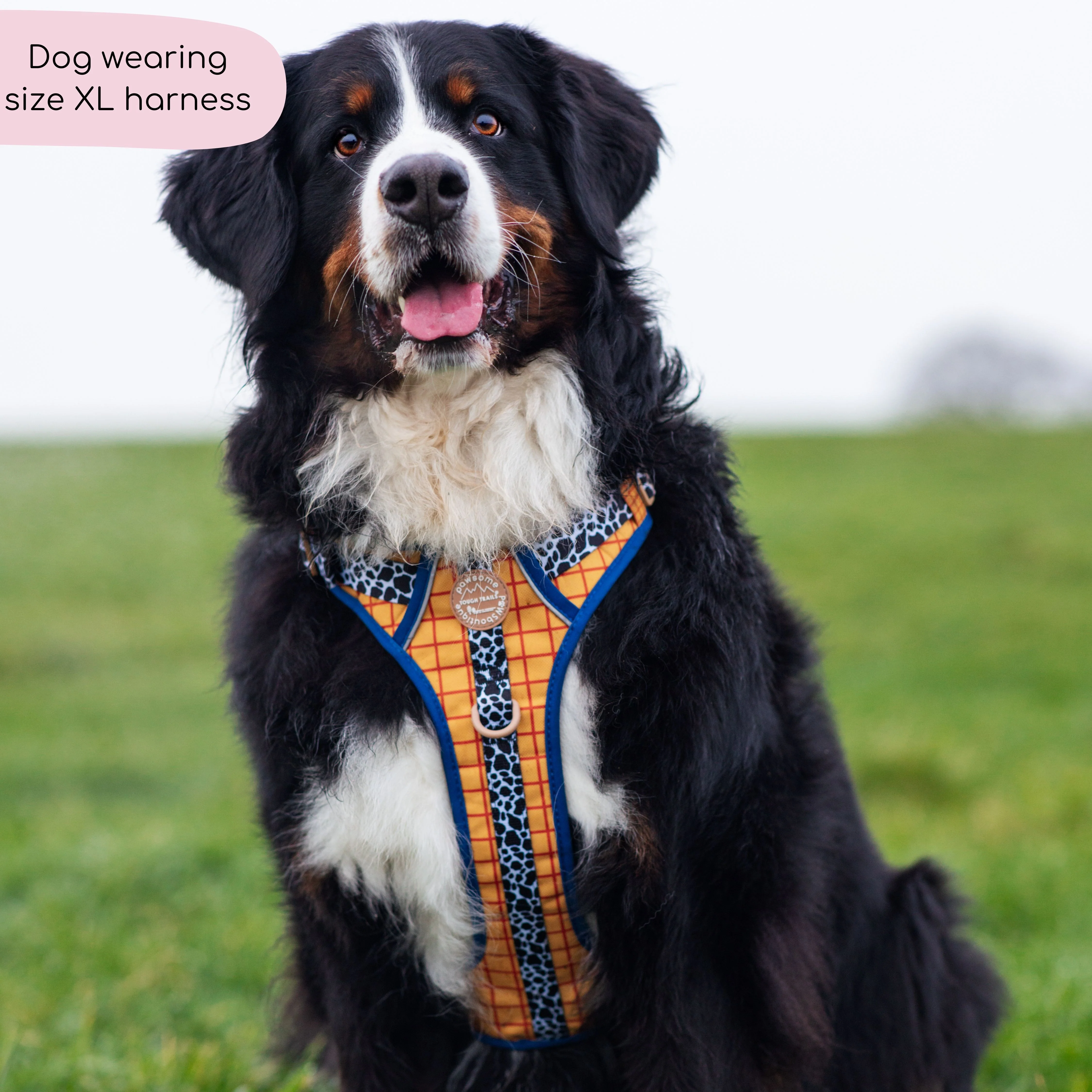Disney© Tough Trails™ Harness - Woody - Image 9