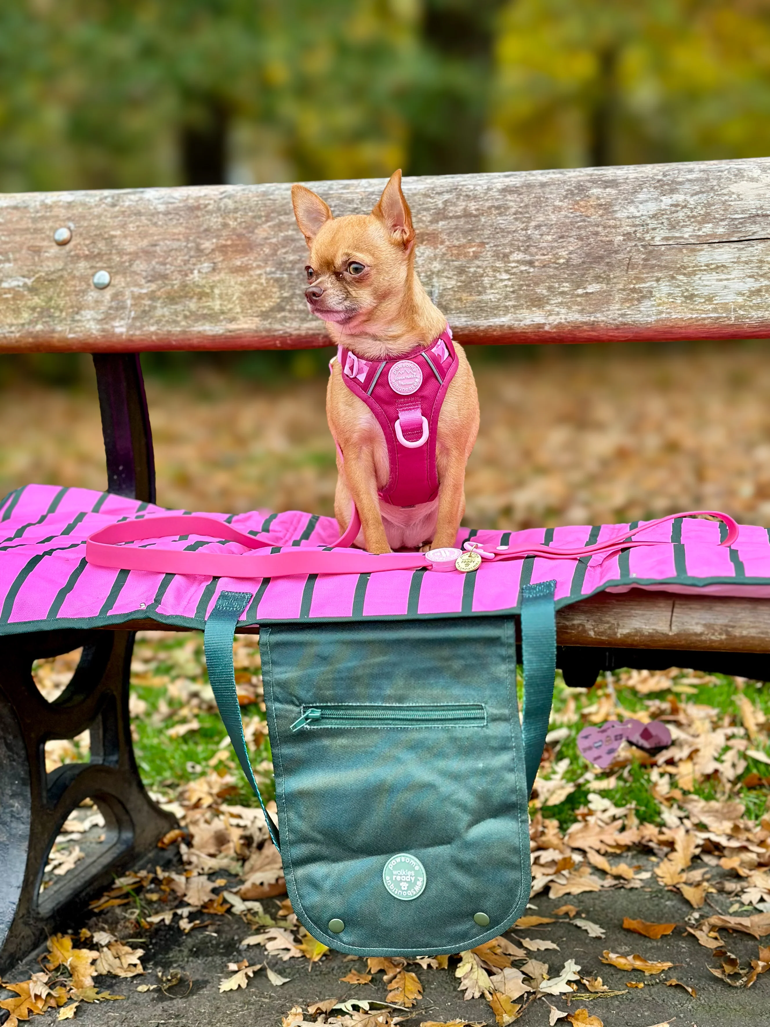 Travel Mat - Walkies Ready® - Image 24