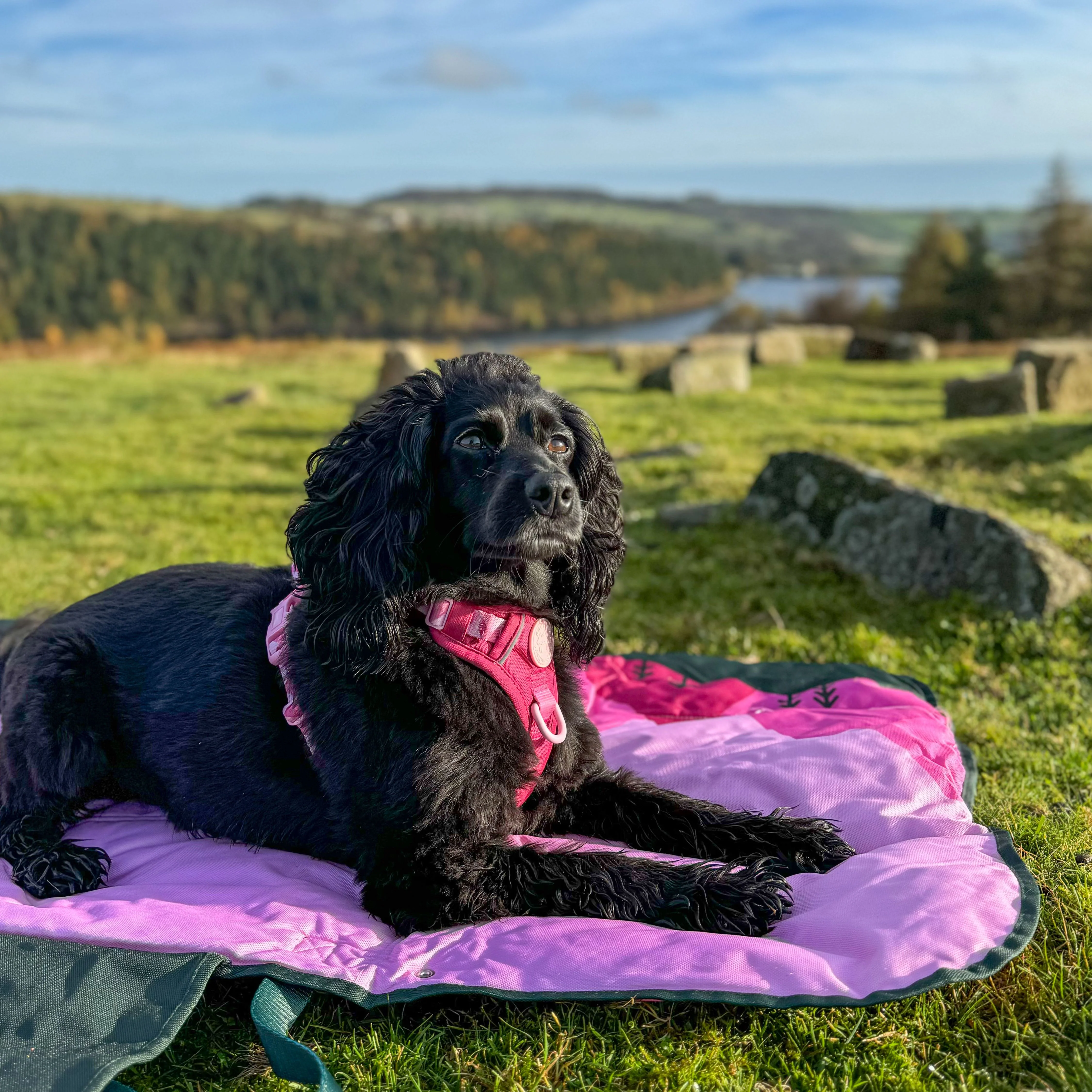 Travel Mat - Walkies Ready® - Image 6