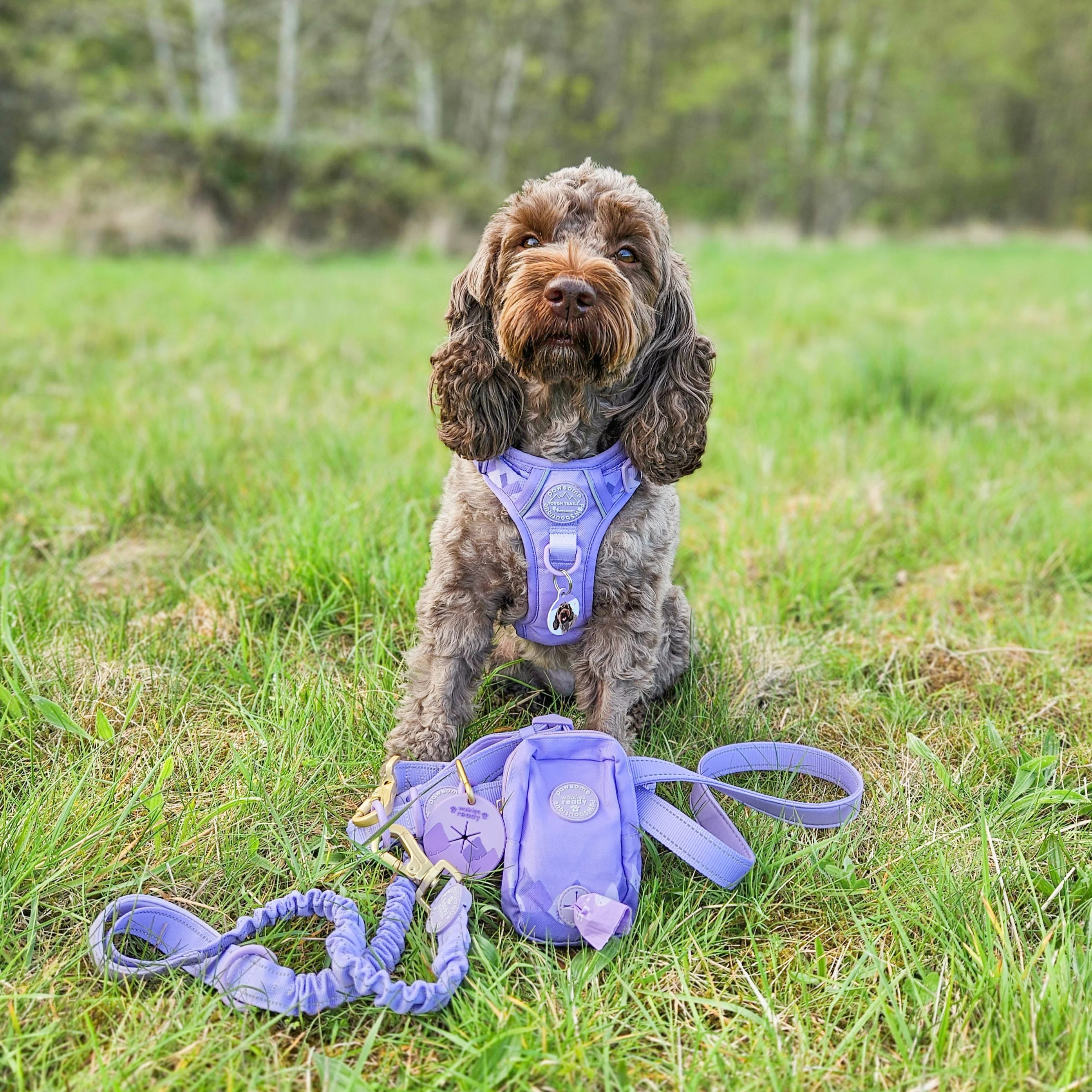 Treat + Go Bag - Walkies Ready® Lavender Lilac - Image 5