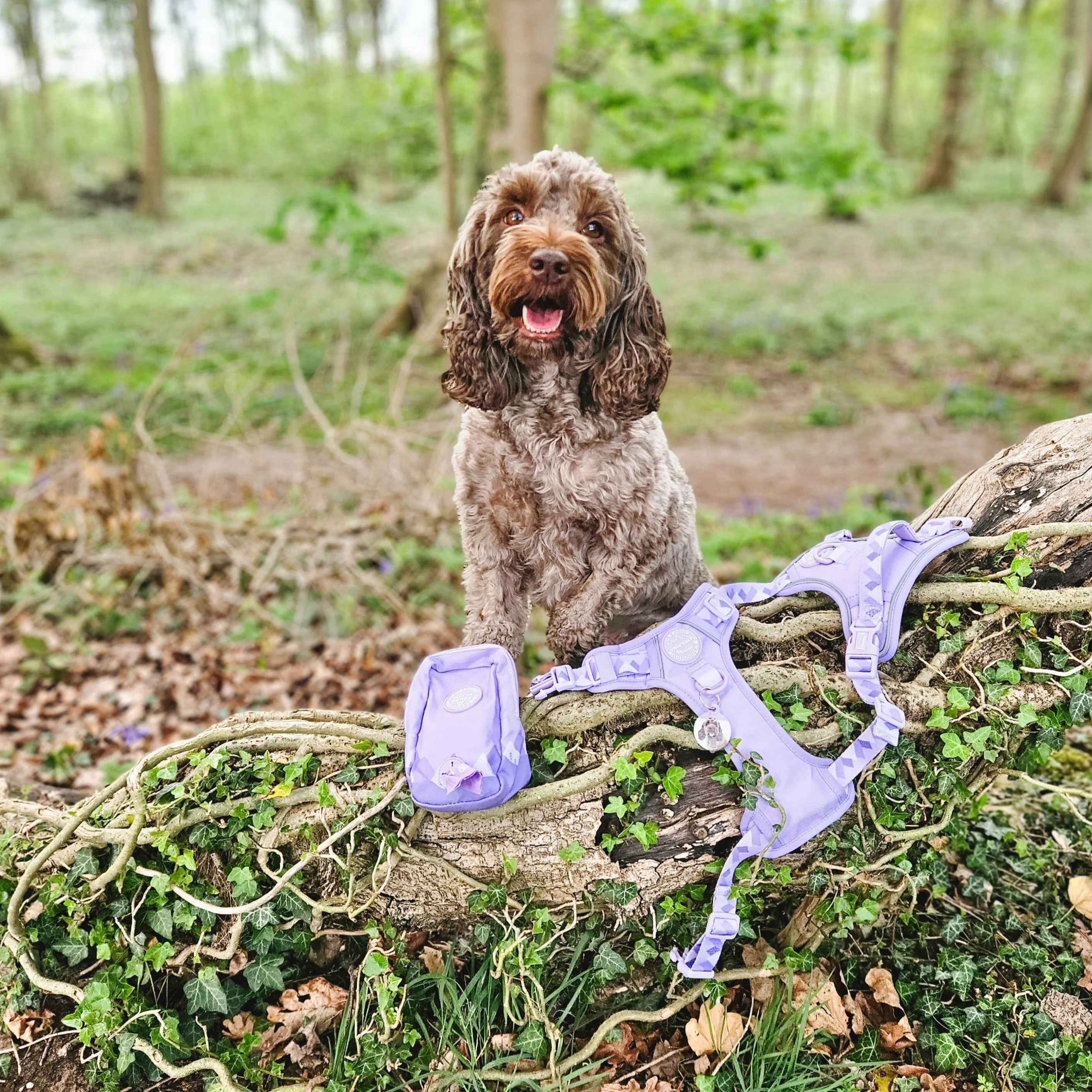 Treat + Go Bag - Walkies Ready® Lavender Lilac - Image 6