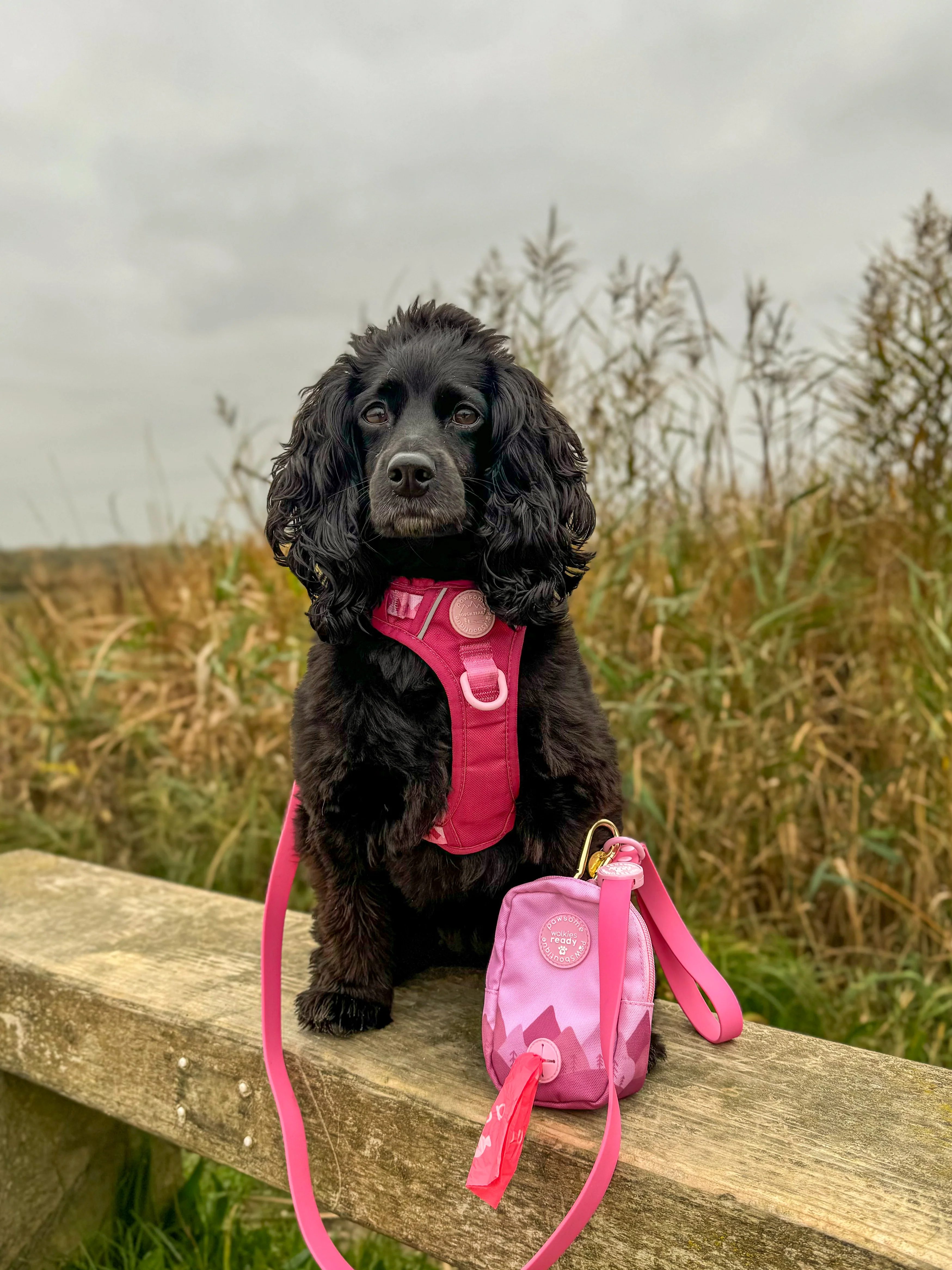 Treat + Go Bag - Walkies Ready® Raspberry Pink - Image 8