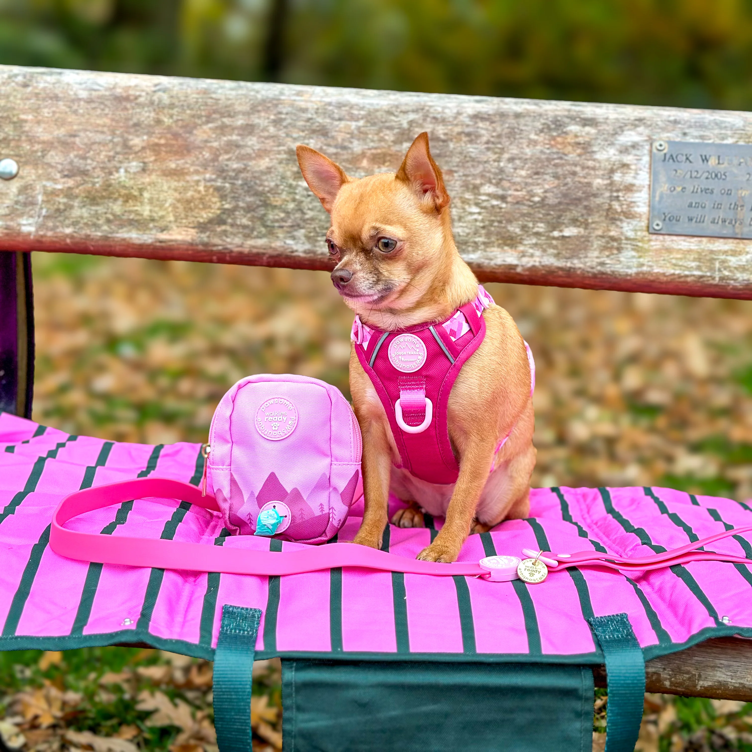 Treat + Go Bag - Walkies Ready® Raspberry Pink - Image 9