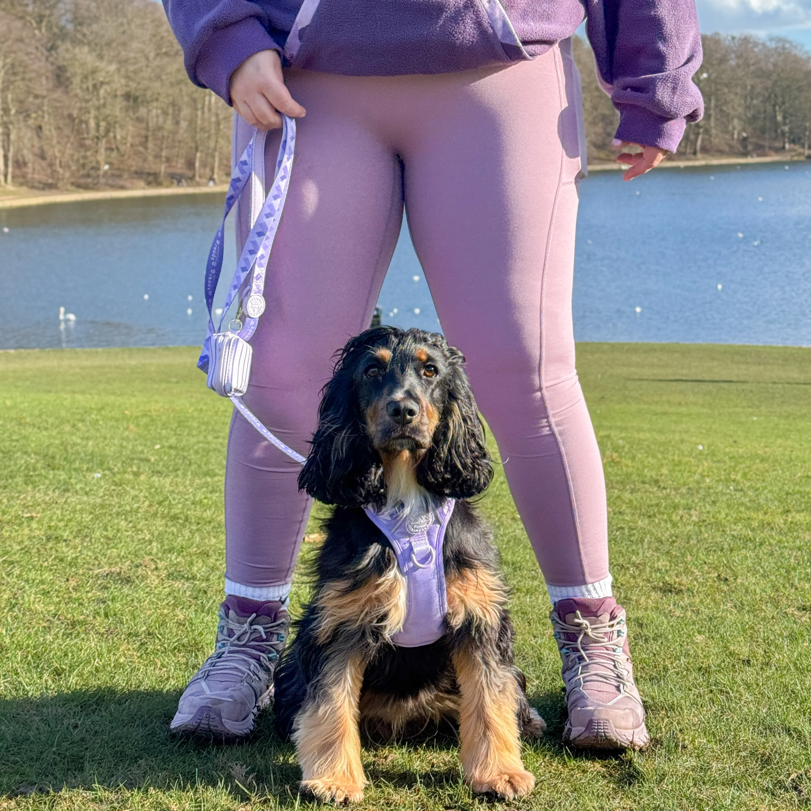 Walkies Ready® Leggings - Lilac - Image 5
