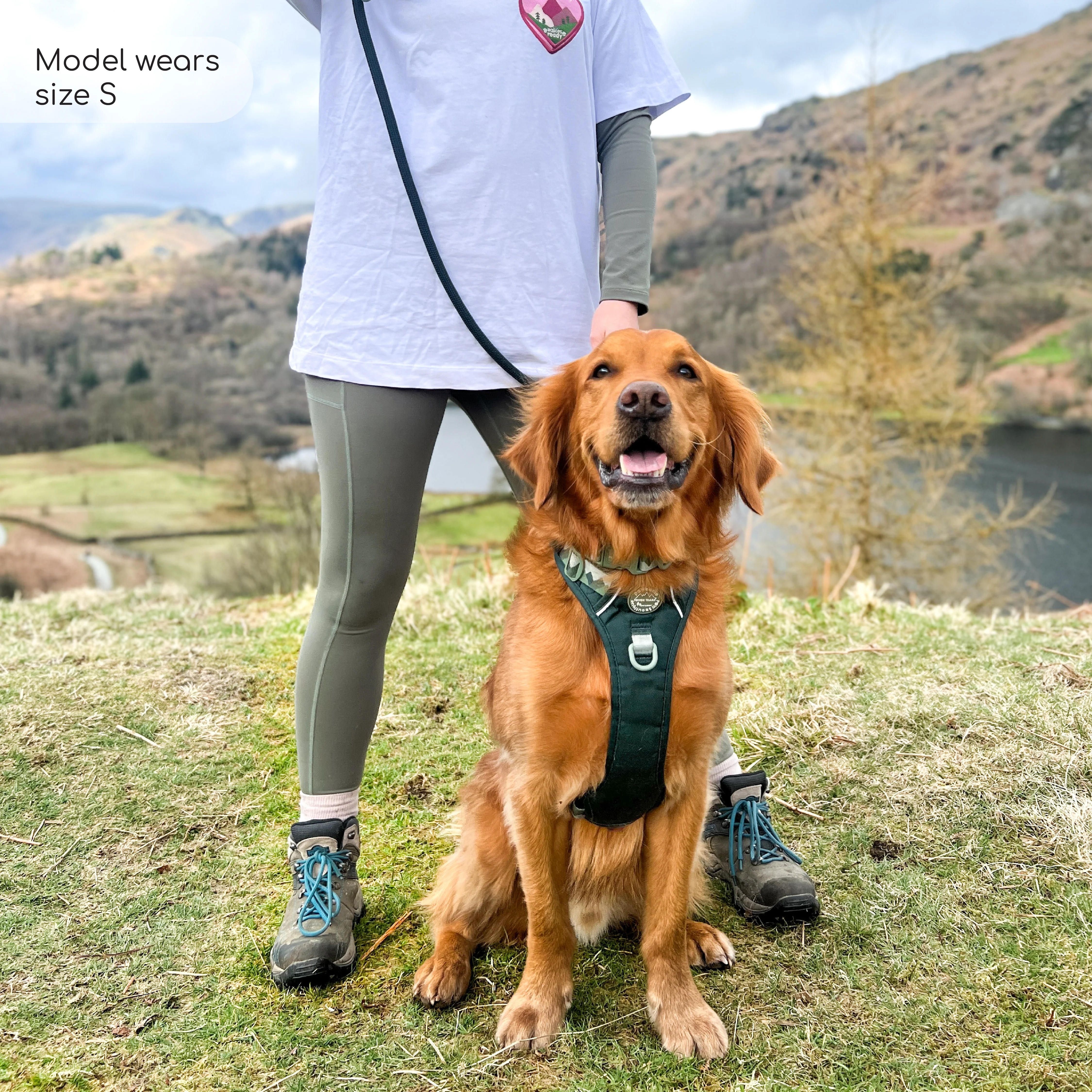 Walkies Ready® Leggings - Olive Green - Image 5