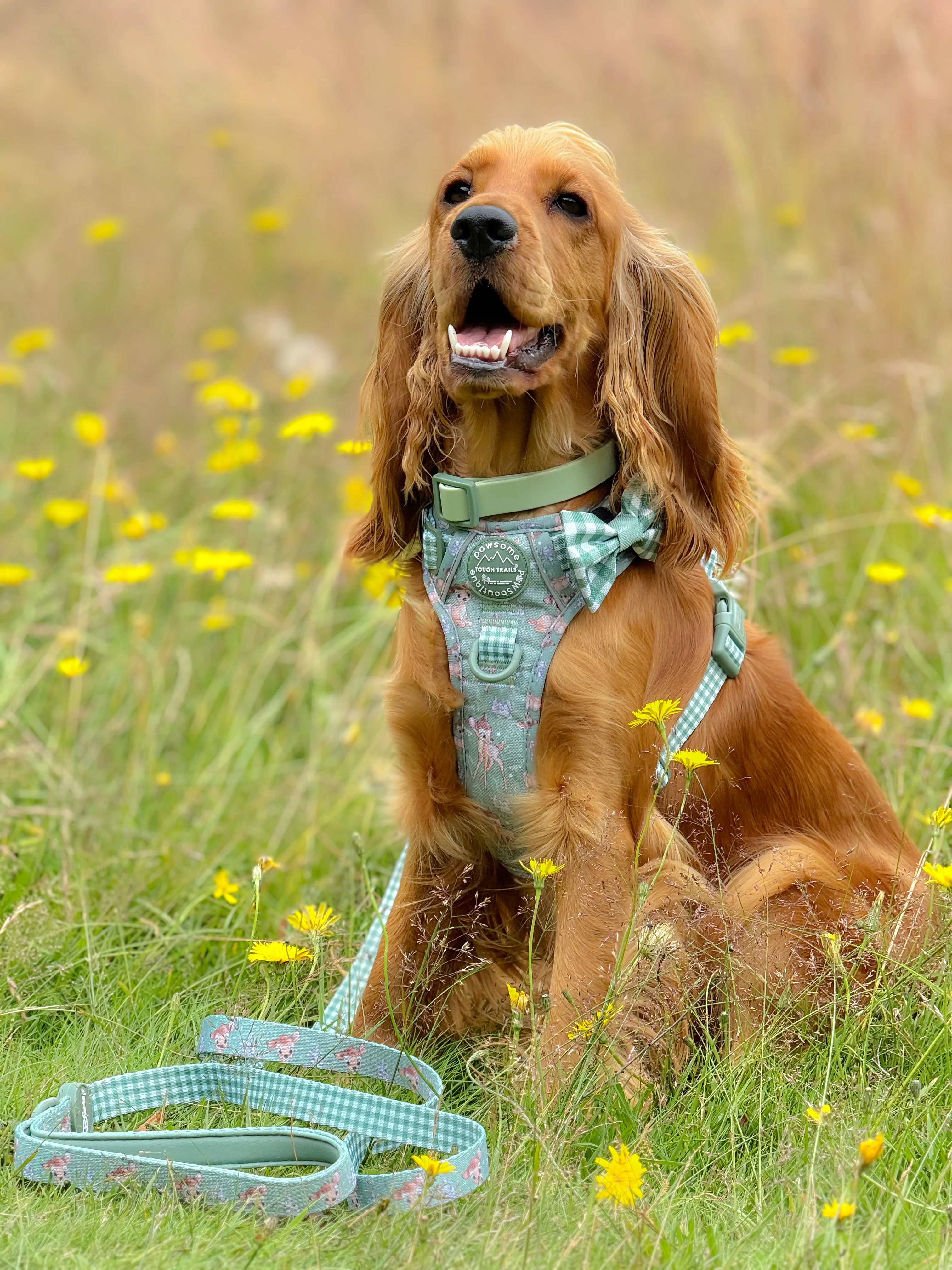 Waterproof Collar - Green - Image 3