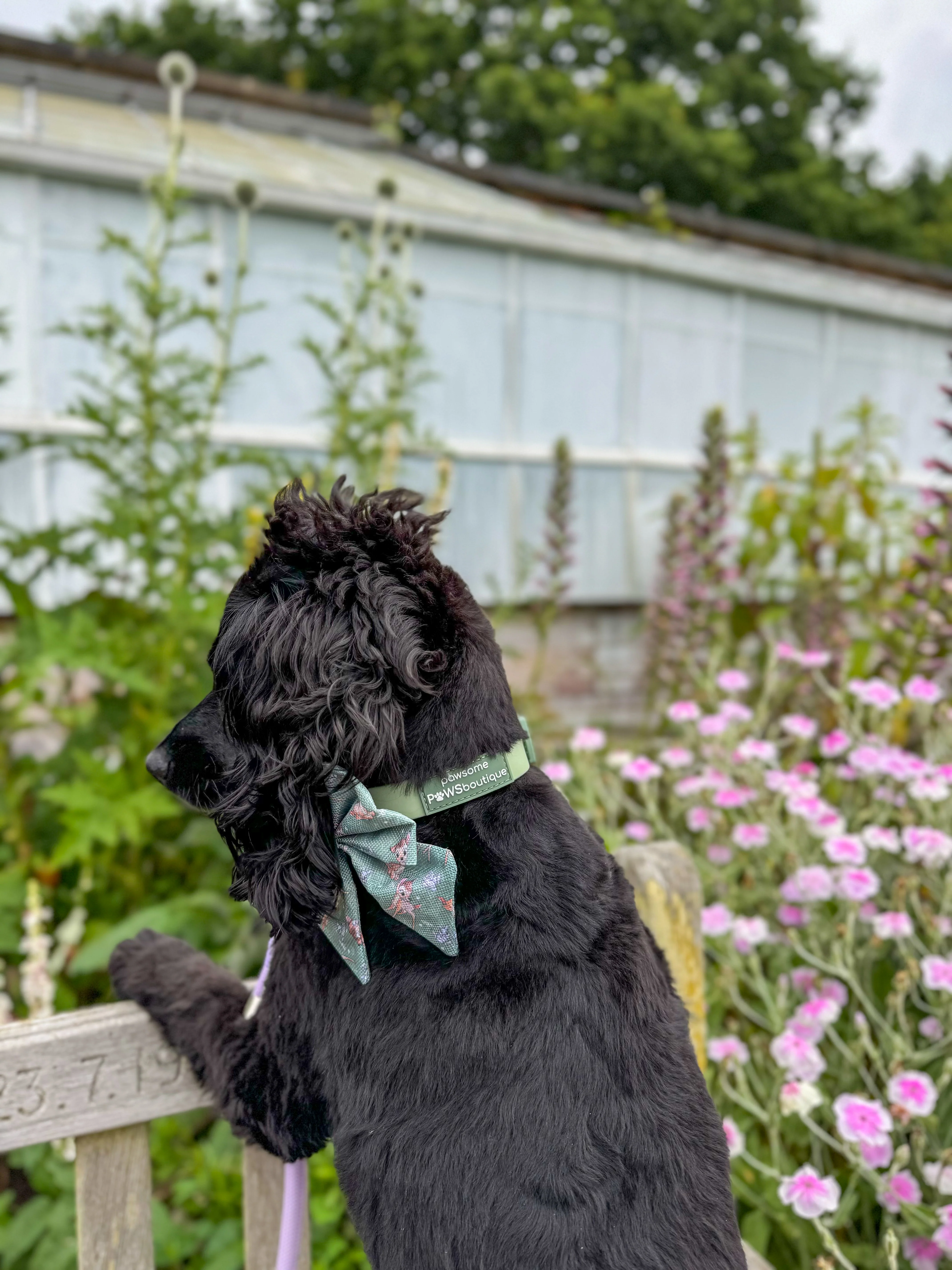 Waterproof Collar - Green - Image 4