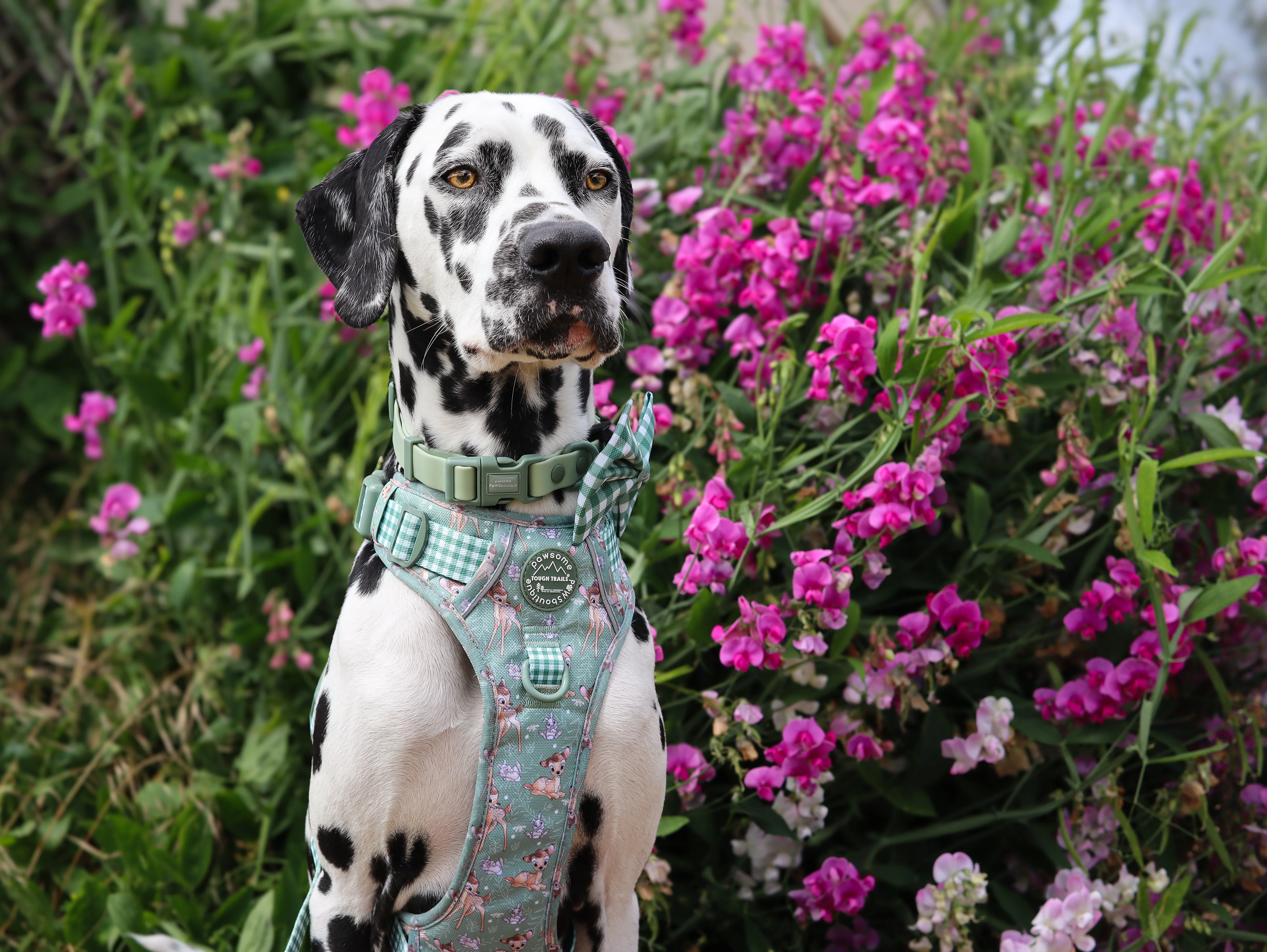 Waterproof Collar - Green - Image 6