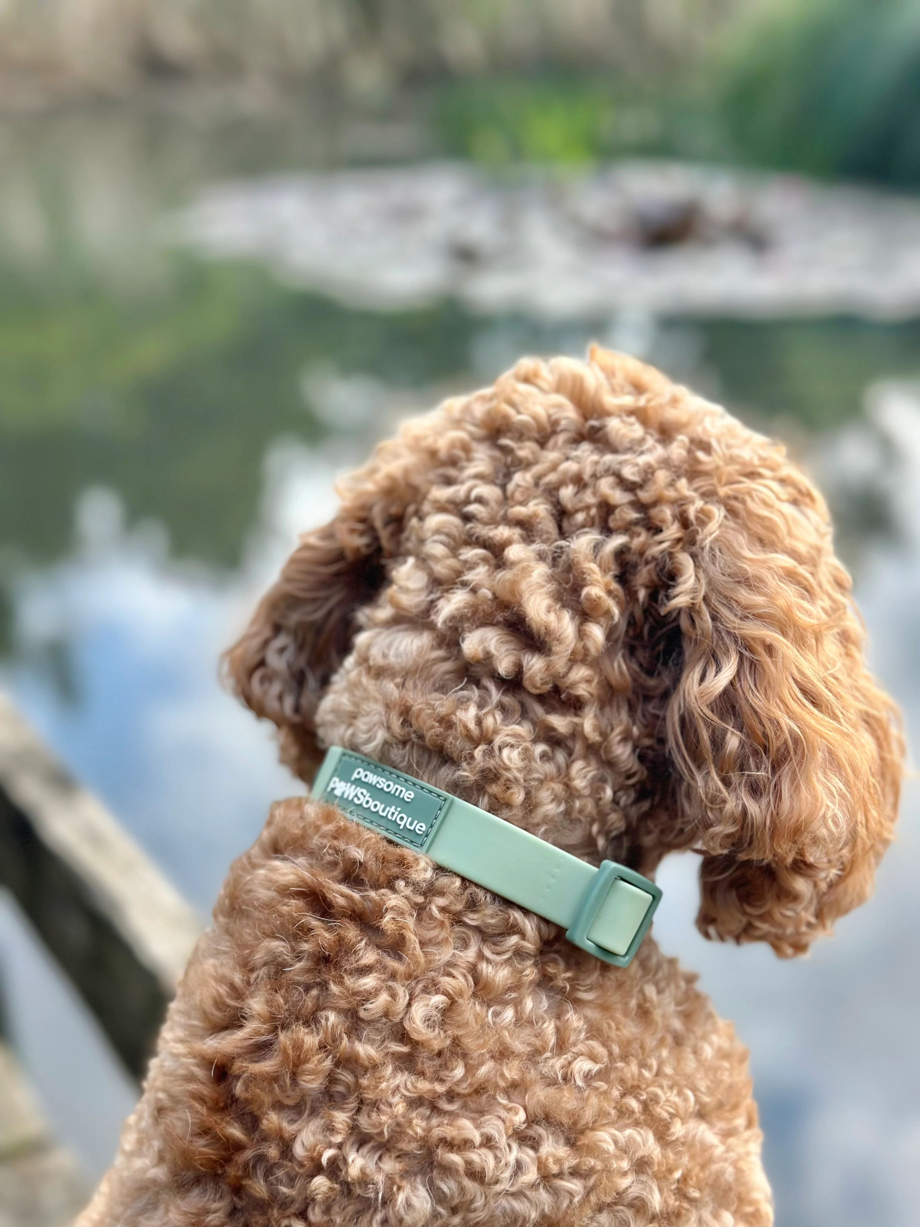 Waterproof Collar - Green - Image 7