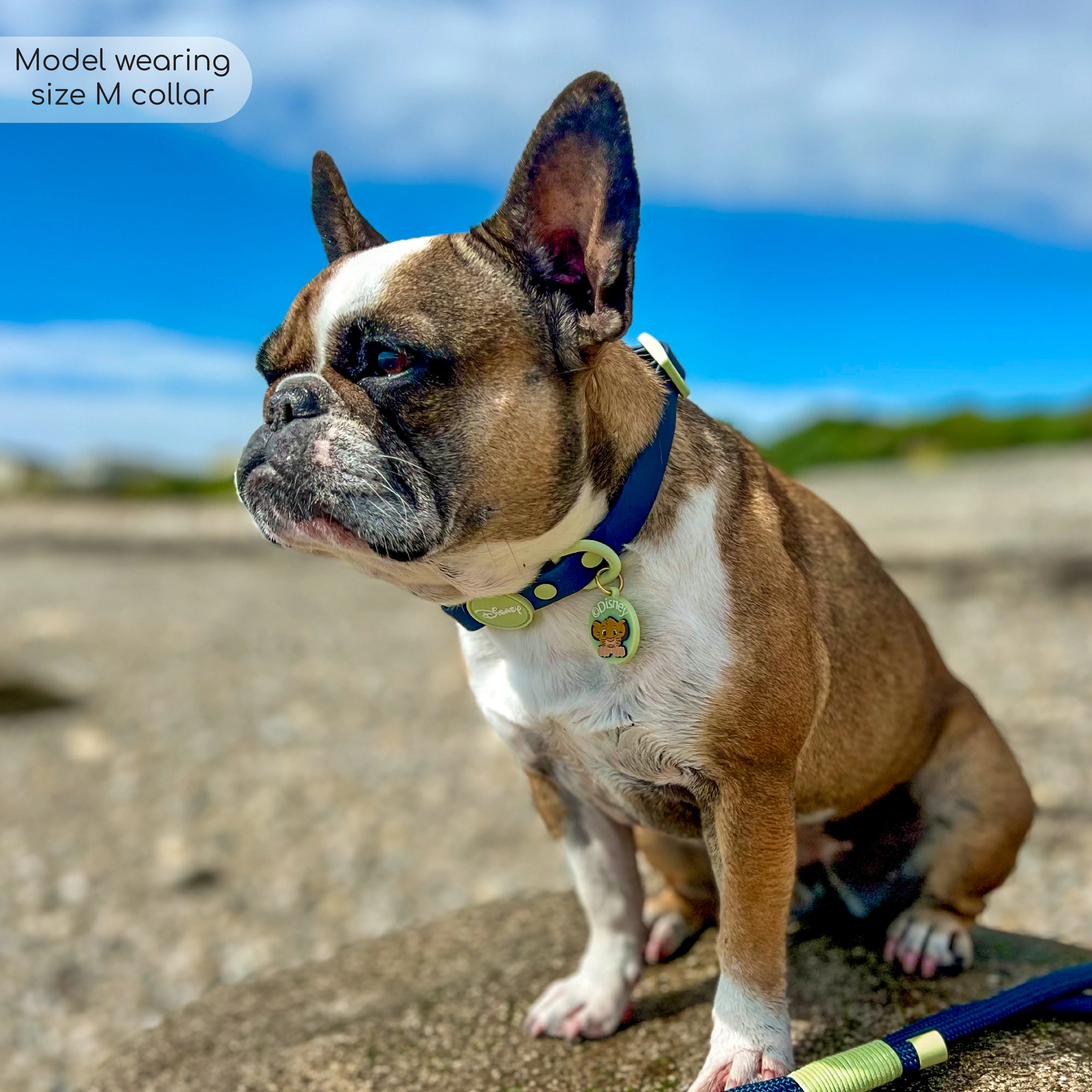 Disney© Waterproof Collar - Simba - Image 7