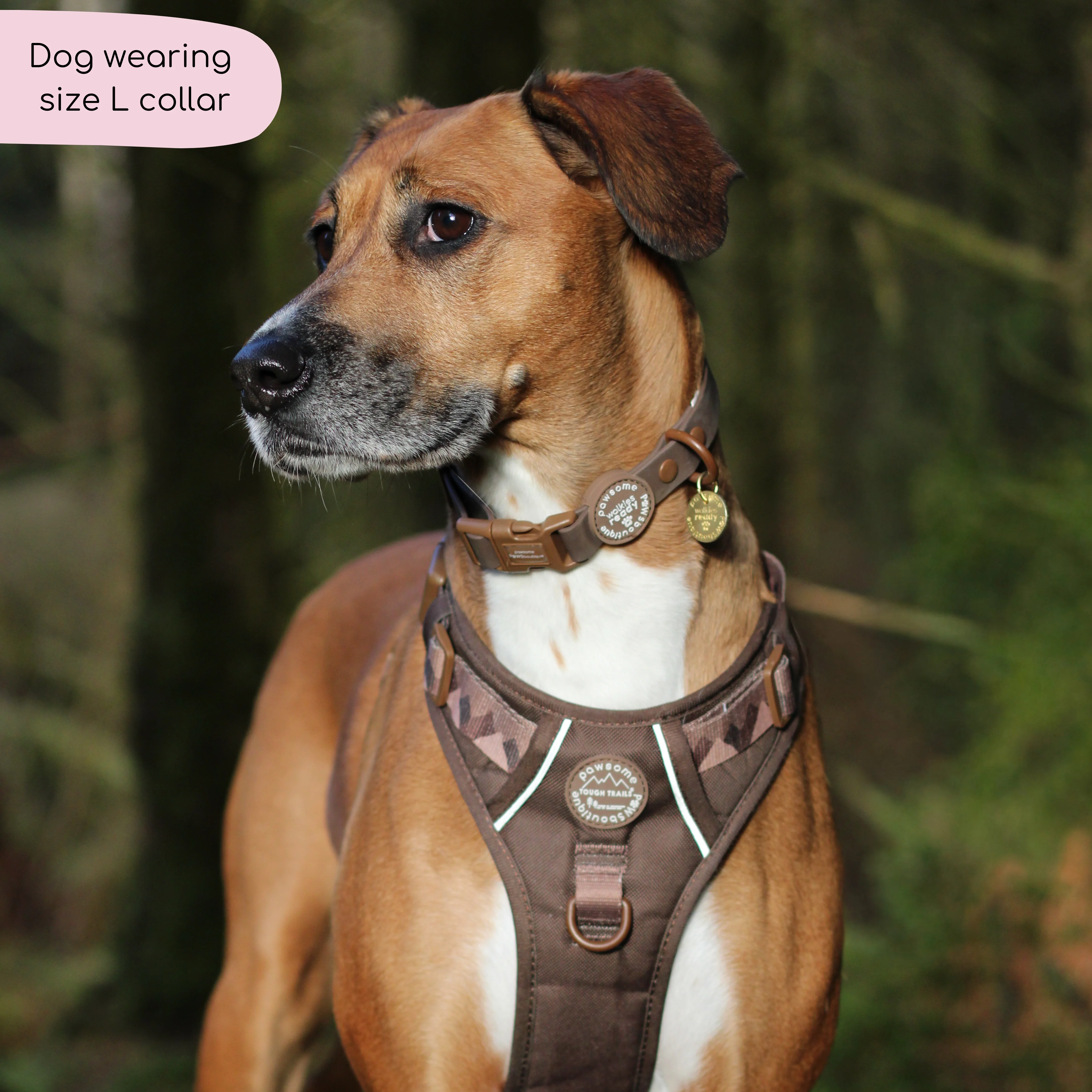 Waterproof Collar - Walkies Ready® Chocolate Brown - Image 11