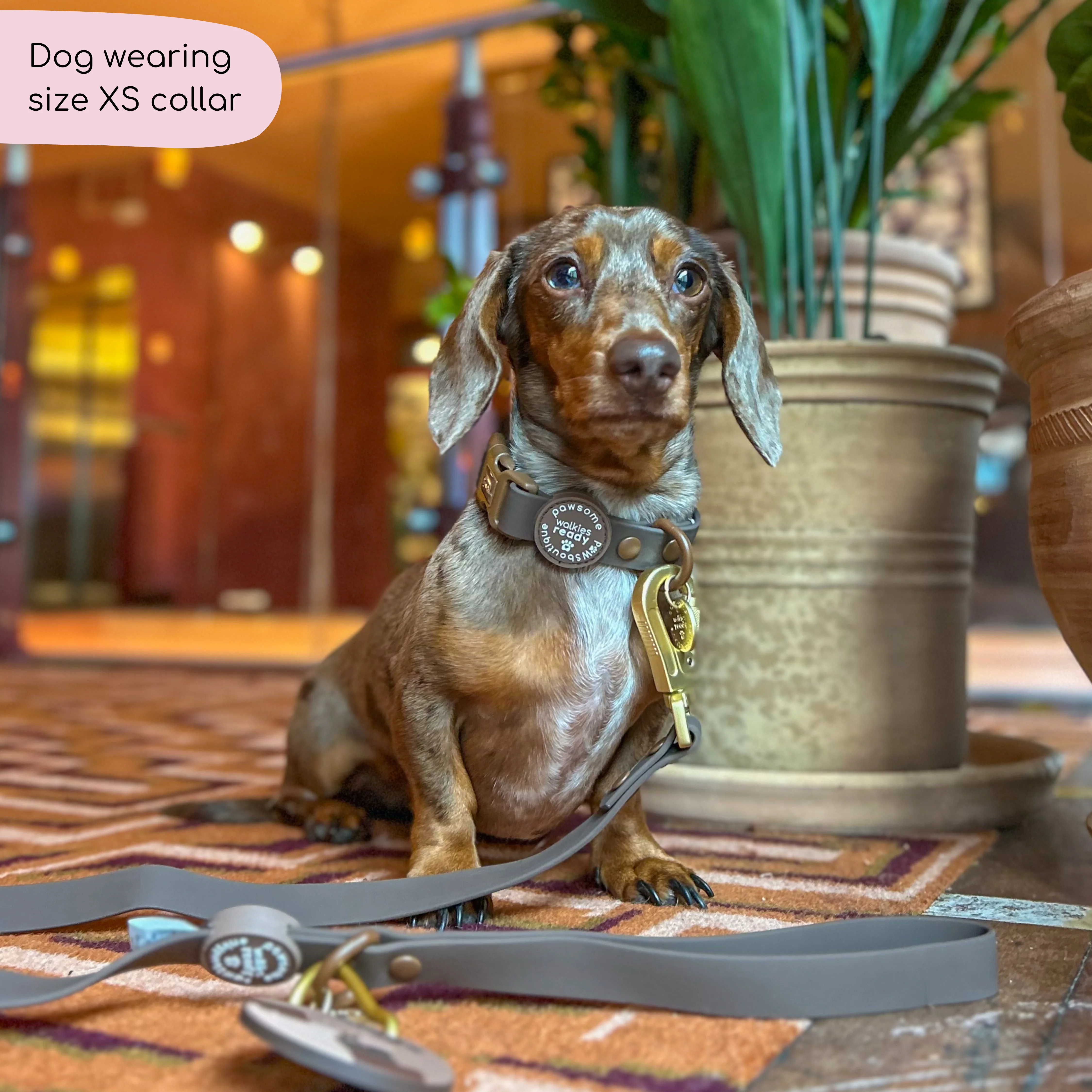 Waterproof Collar - Walkies Ready® Chocolate Brown - Image 12