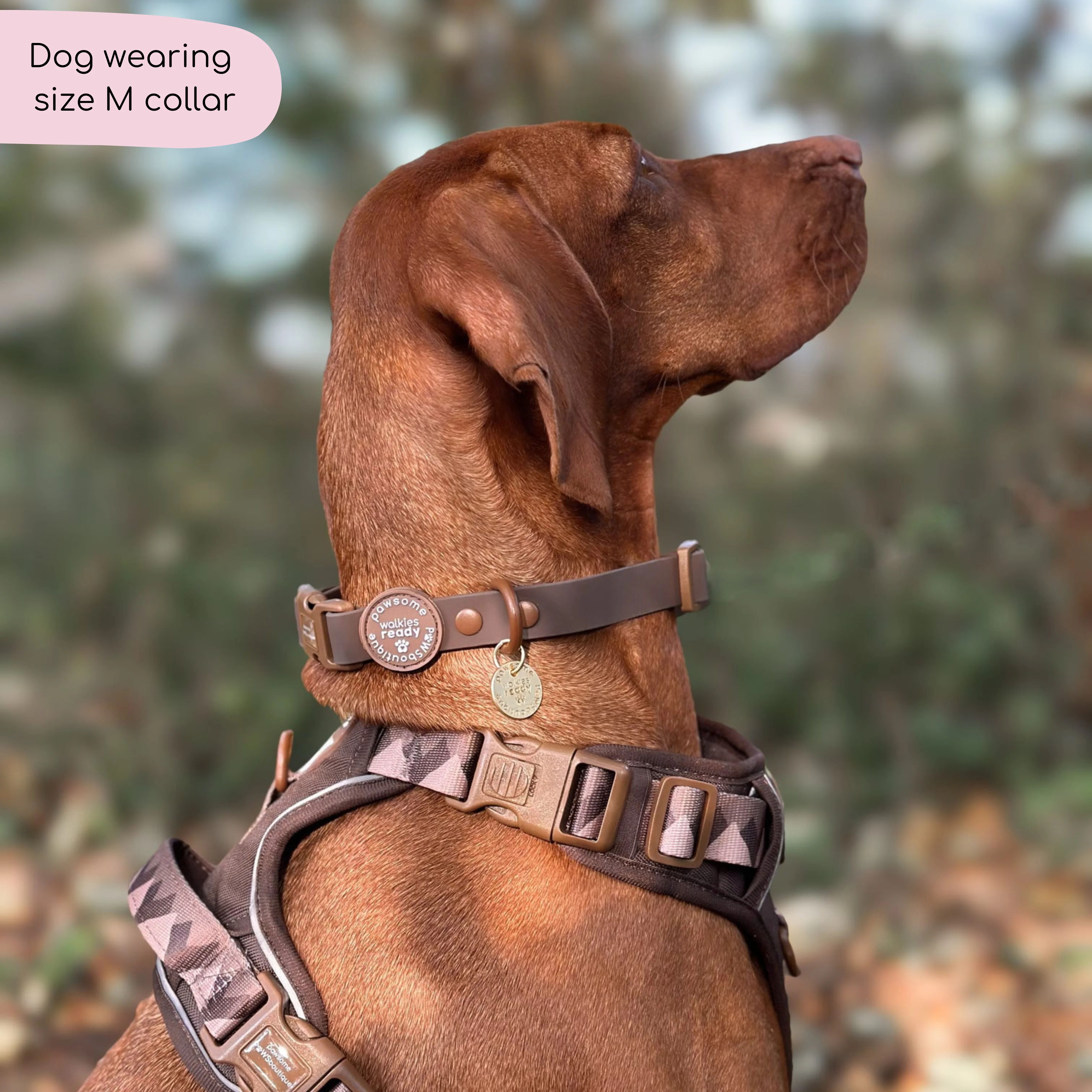 Waterproof Collar - Walkies Ready® Chocolate Brown - Image 3