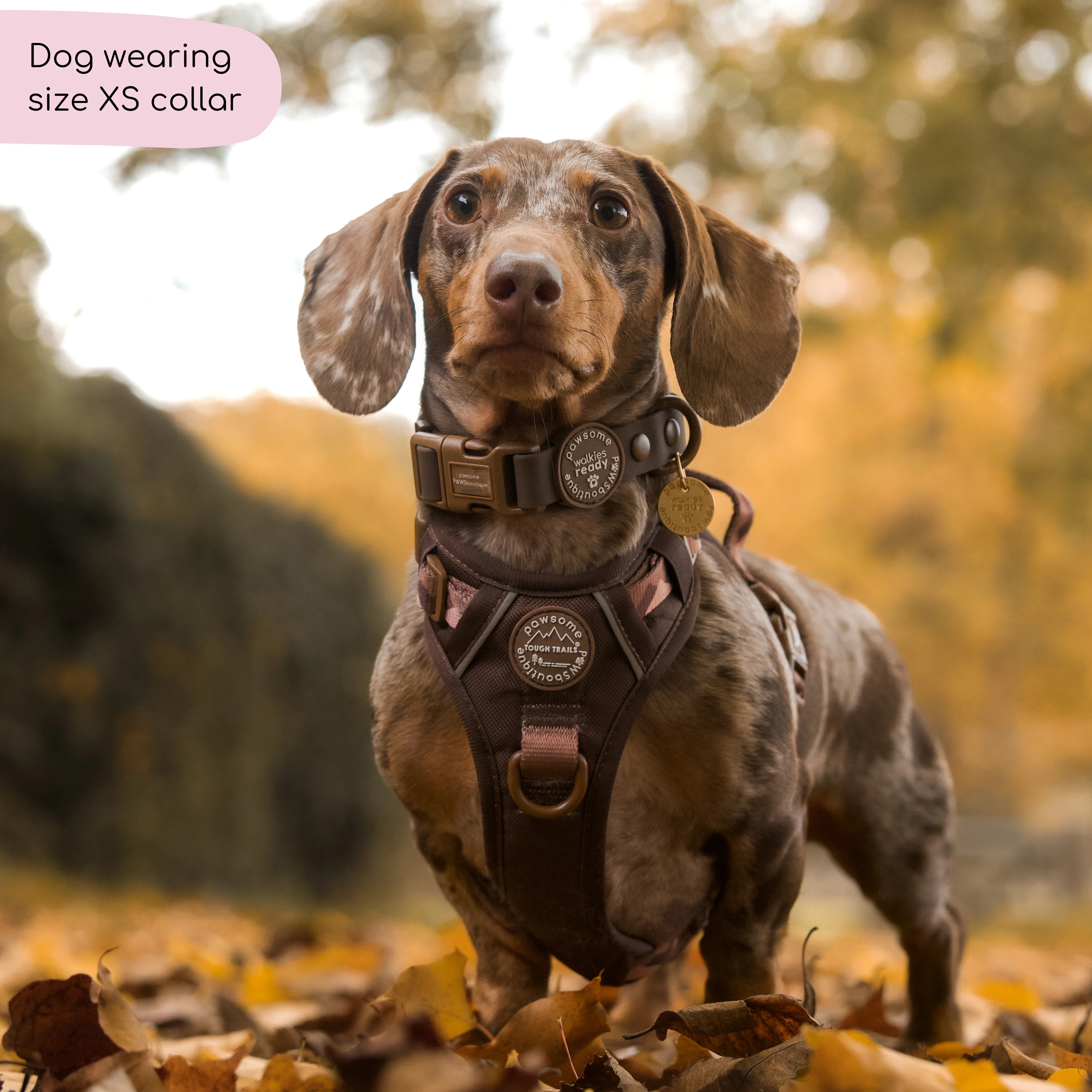 Waterproof Collar - Walkies Ready® Chocolate Brown - Image 5
