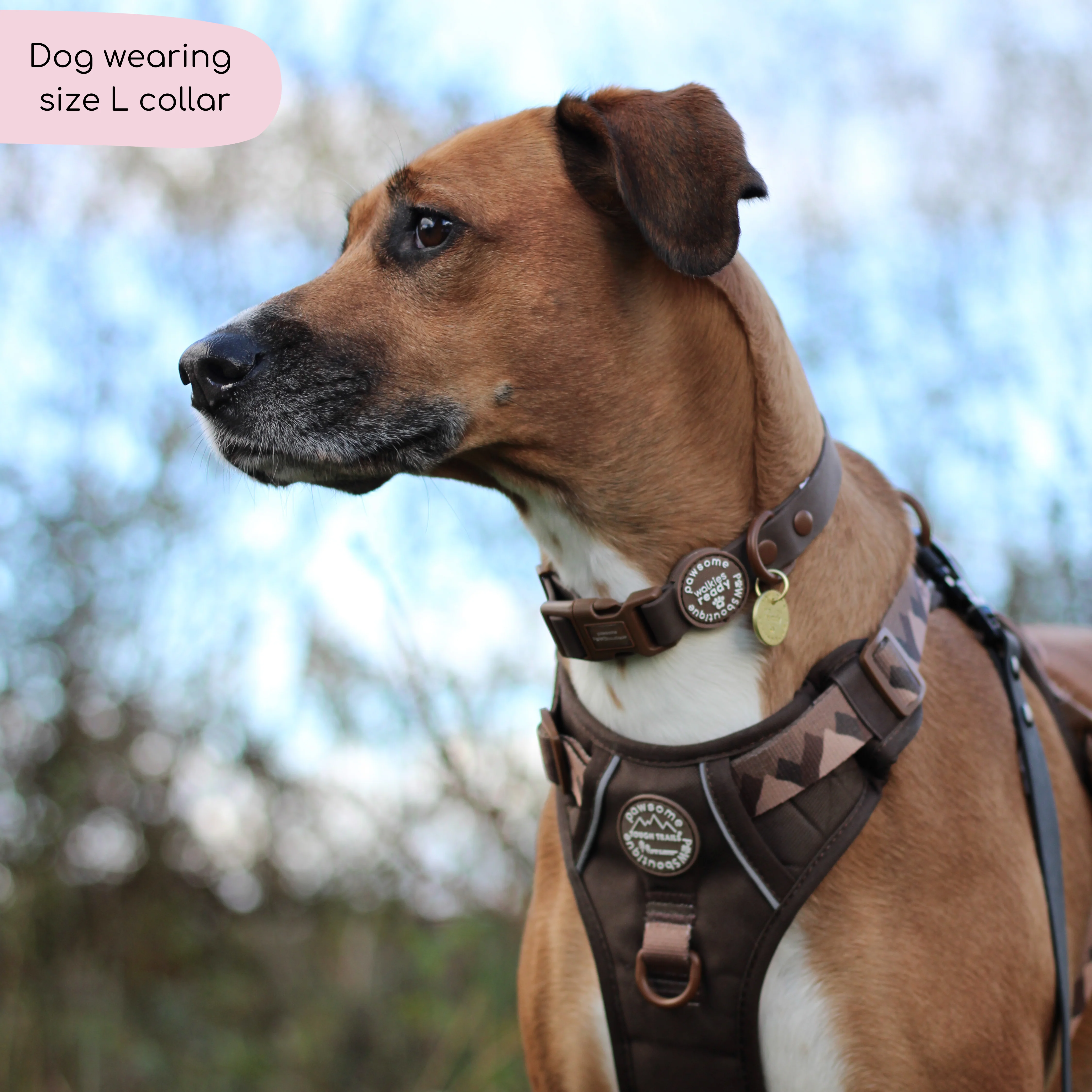 Waterproof Collar - Walkies Ready® Chocolate Brown - Image 6
