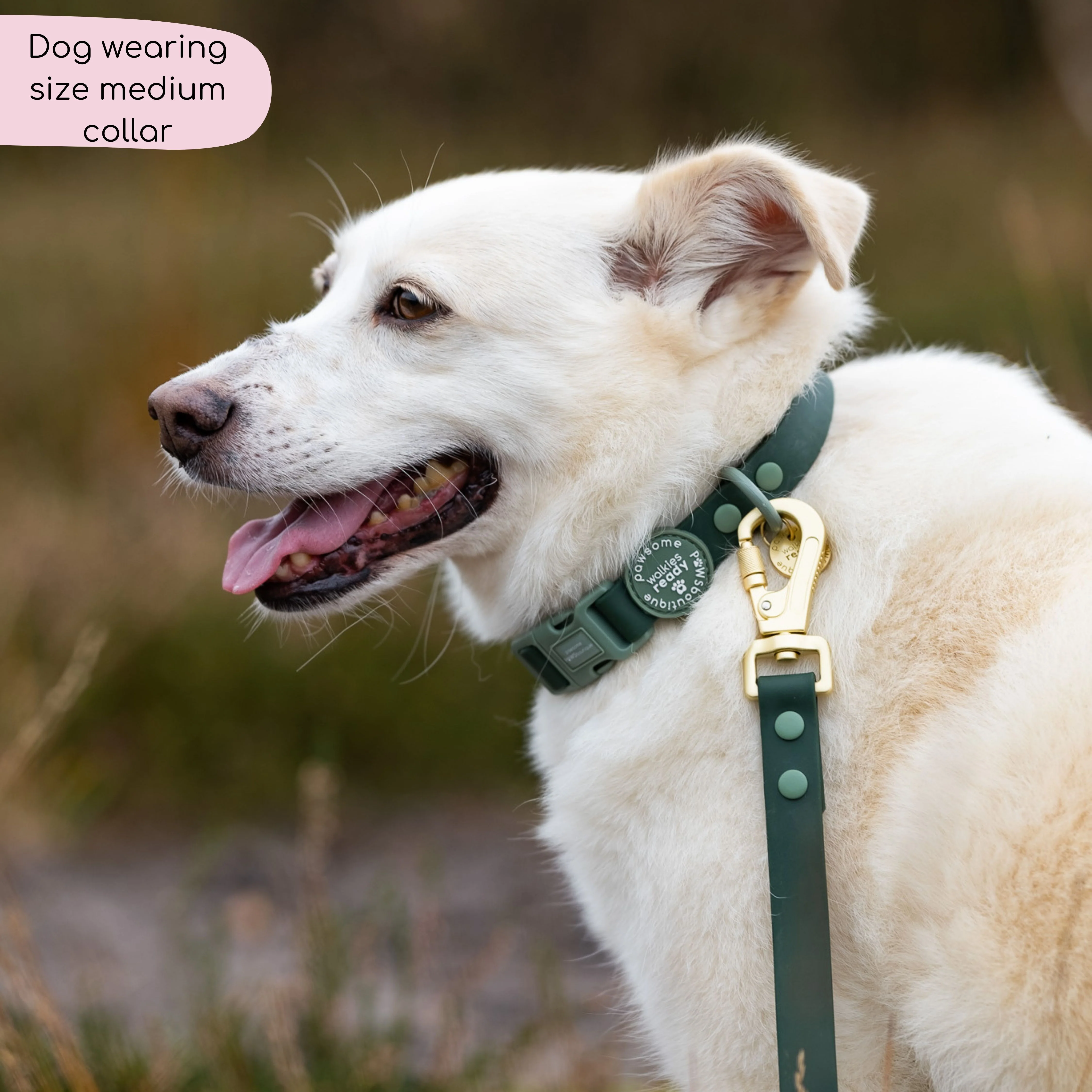 Waterproof Collar - Walkies Ready® Forest Green - Image 4