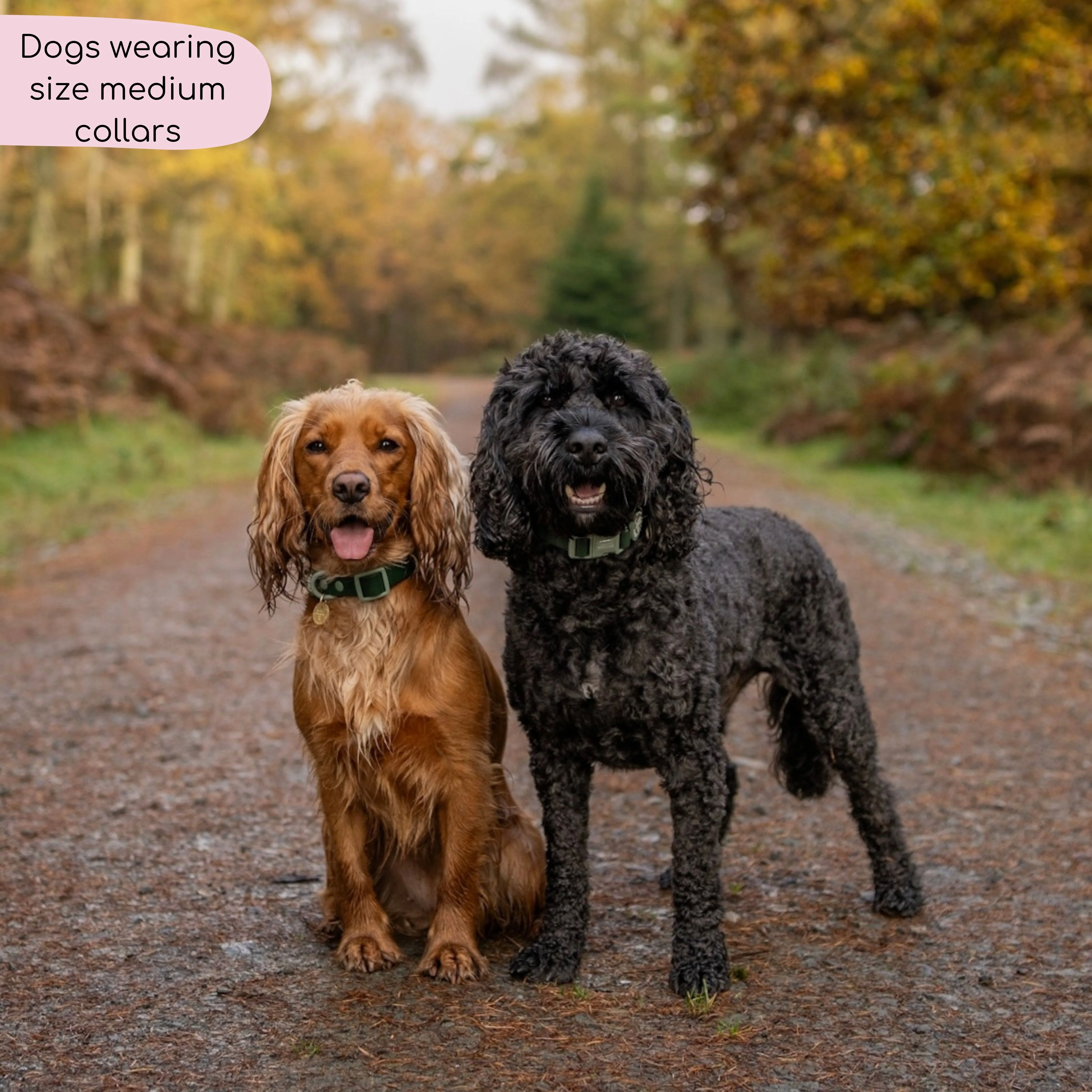 Waterproof Collar - Walkies Ready® Forest Green - Image 6