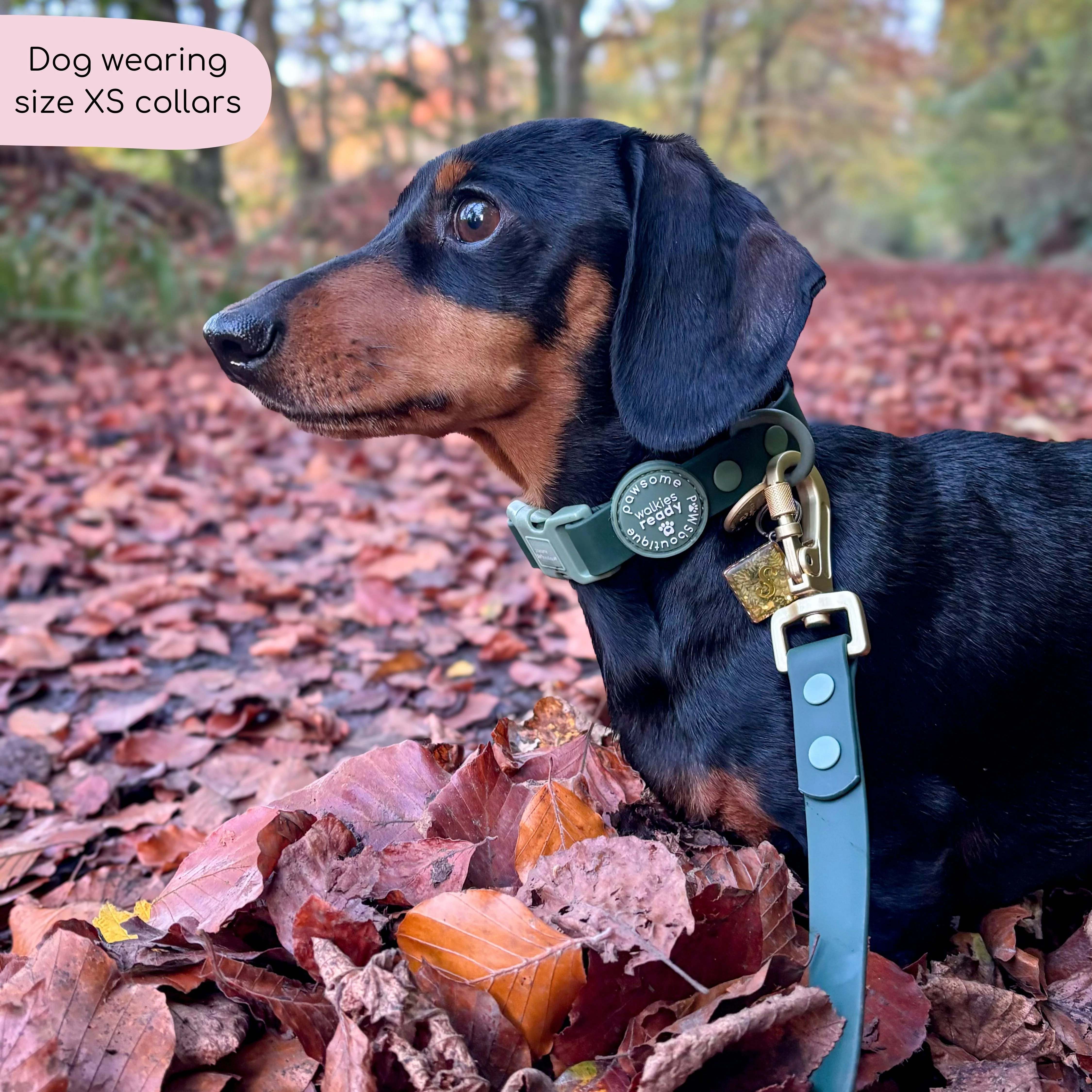 Waterproof Collar - Walkies Ready® Forest Green - Image 7