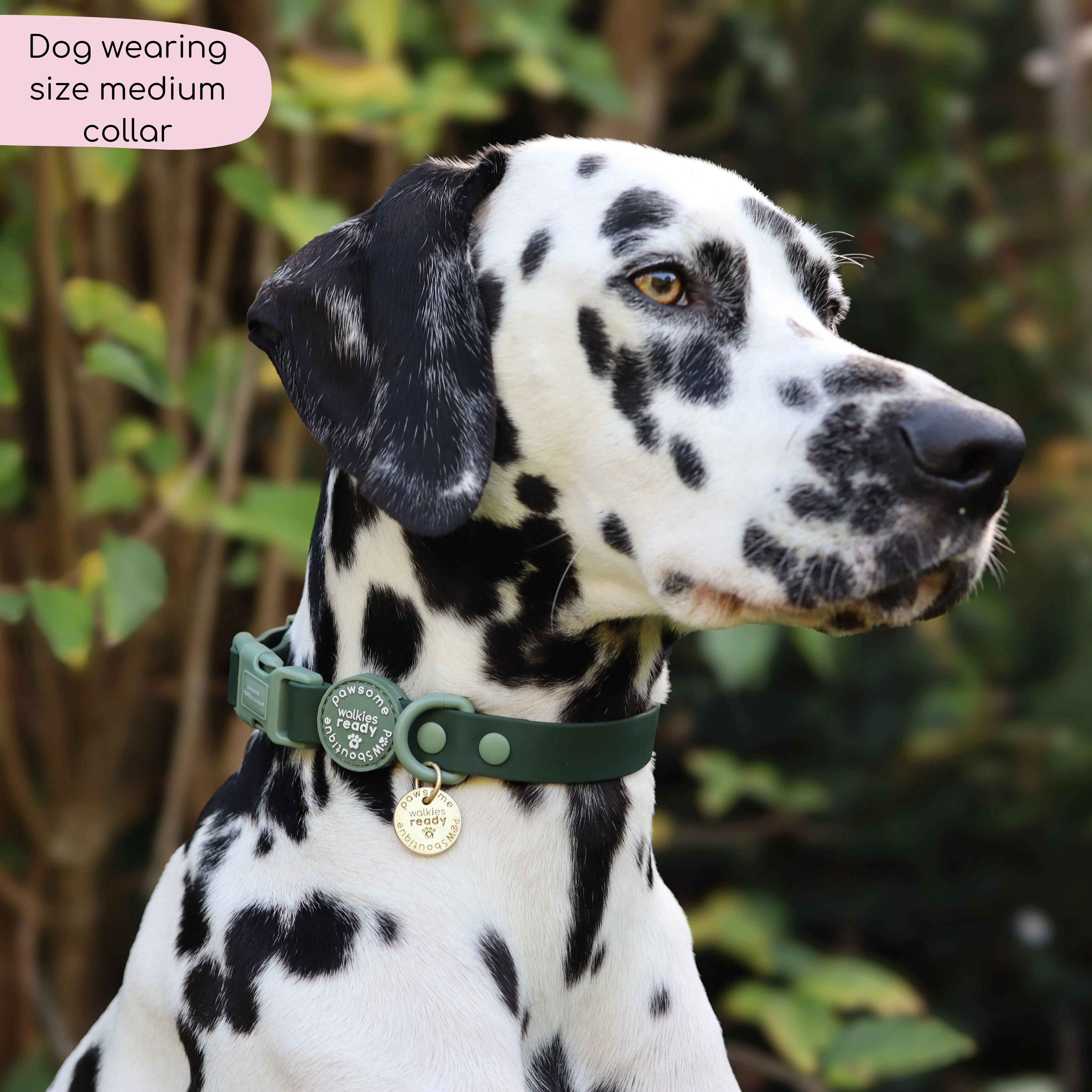 Waterproof Collar - Walkies Ready® Forest Green - Image 8