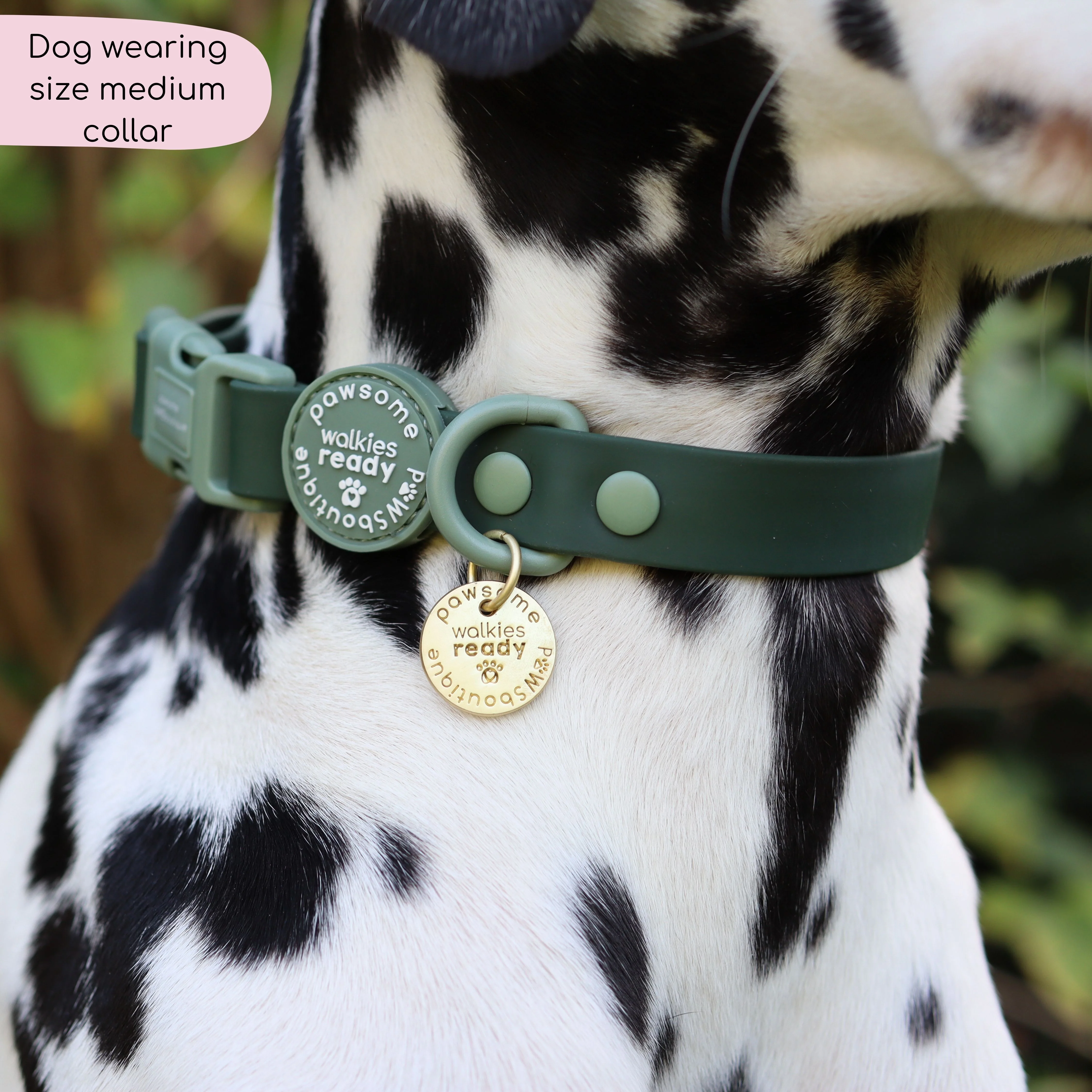 Waterproof Collar - Walkies Ready® Forest Green - Image 9