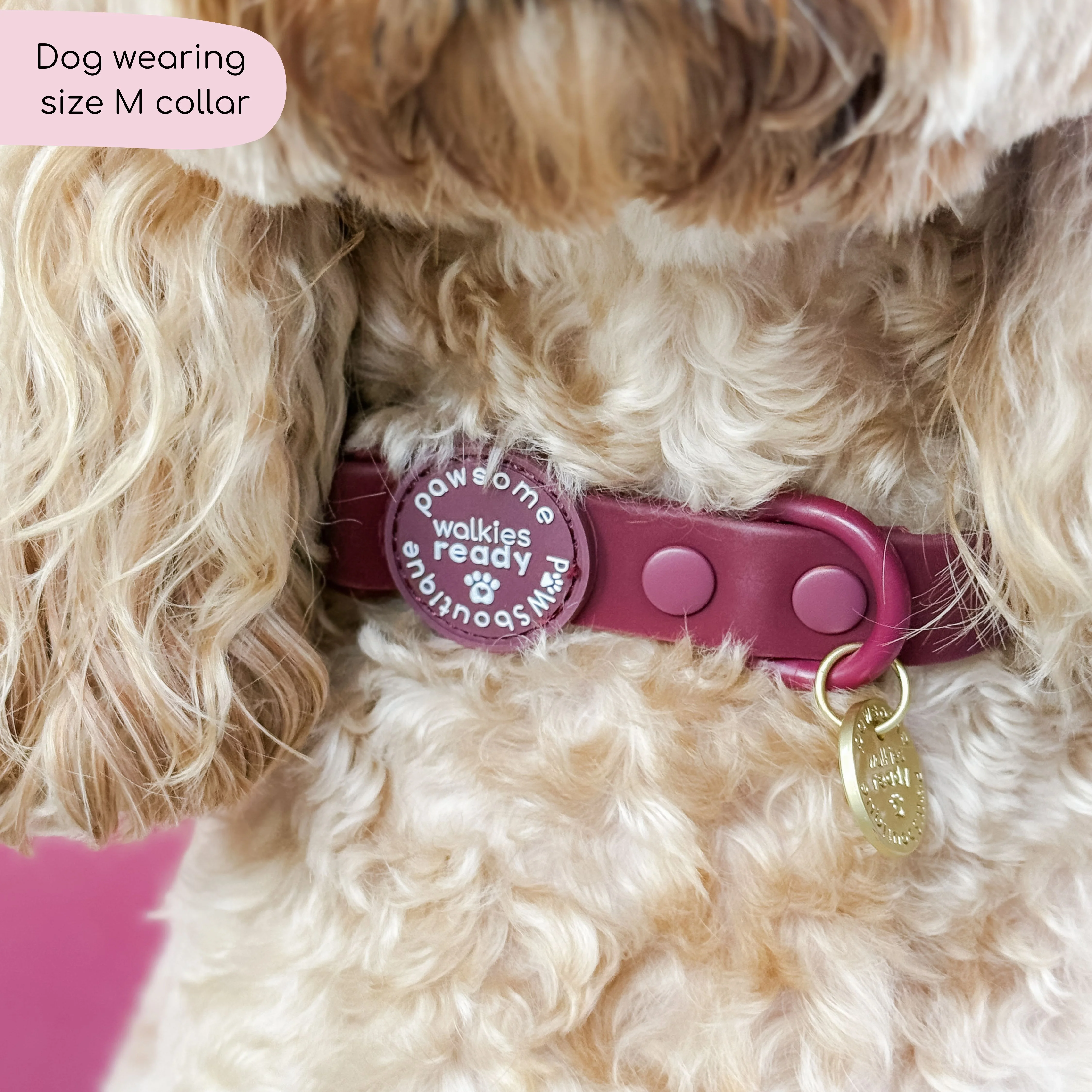 Waterproof Collar - Walkies Ready® Mulberry - Image 10