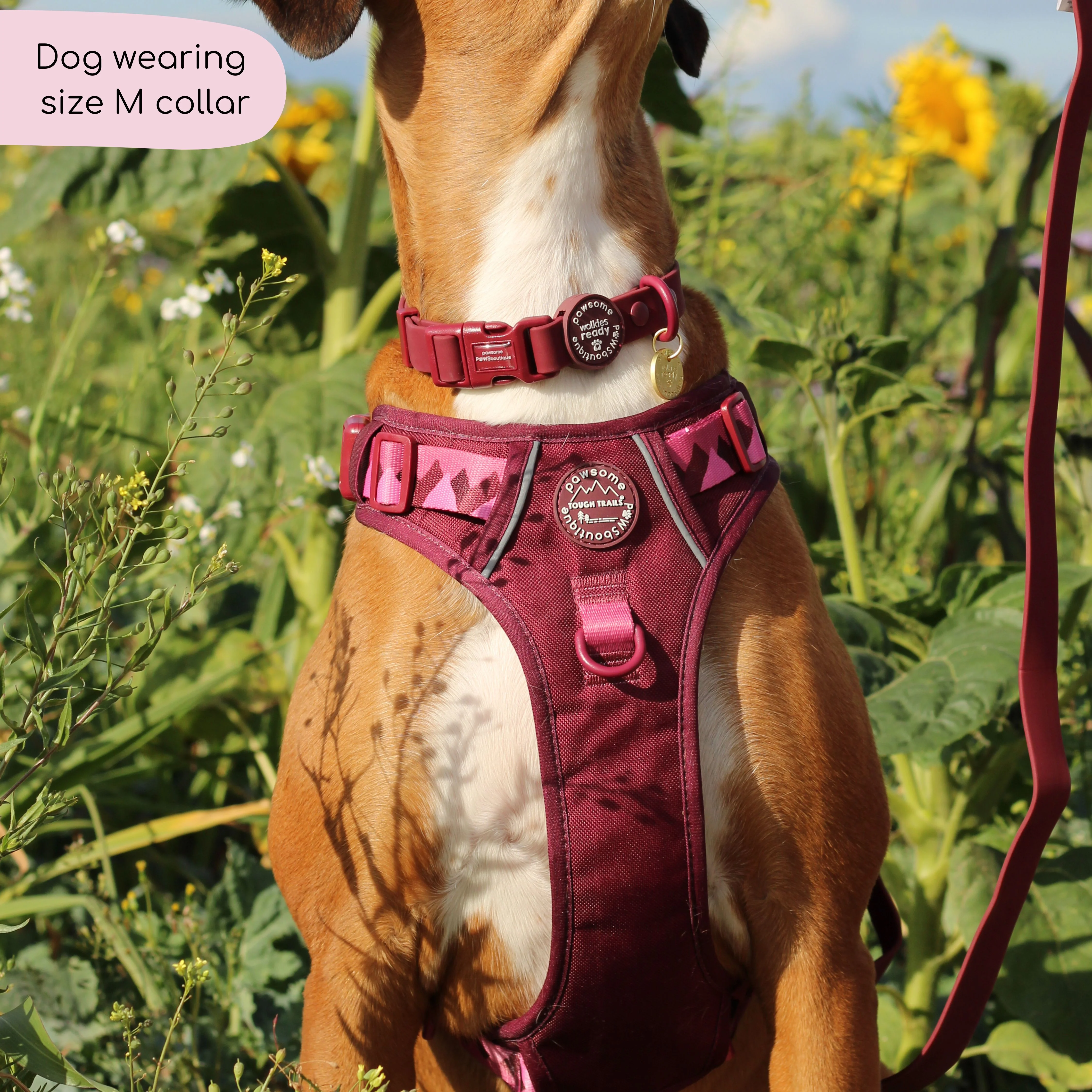 Waterproof Collar - Walkies Ready® Mulberry - Image 3