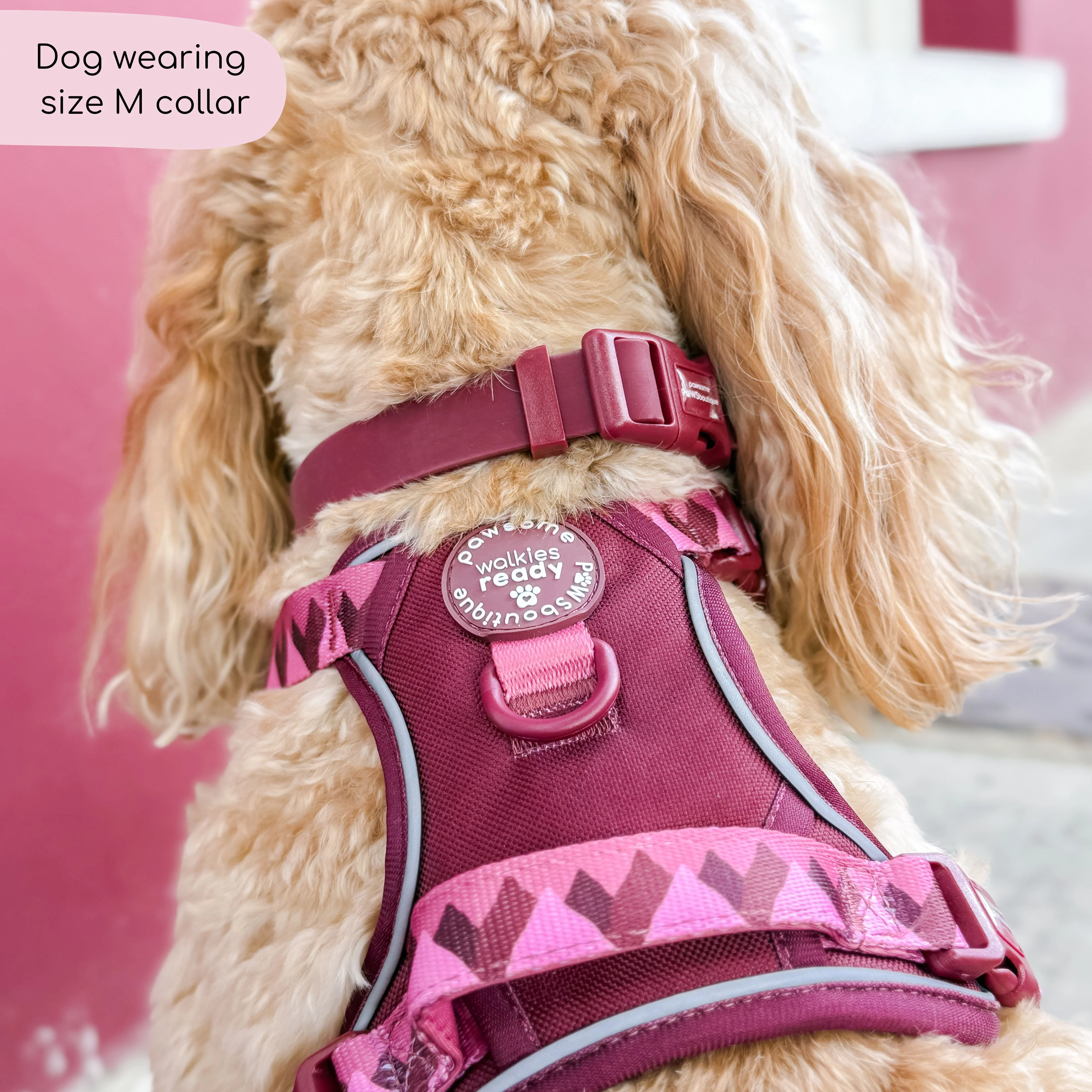 Waterproof Collar - Walkies Ready® Mulberry - Image 6