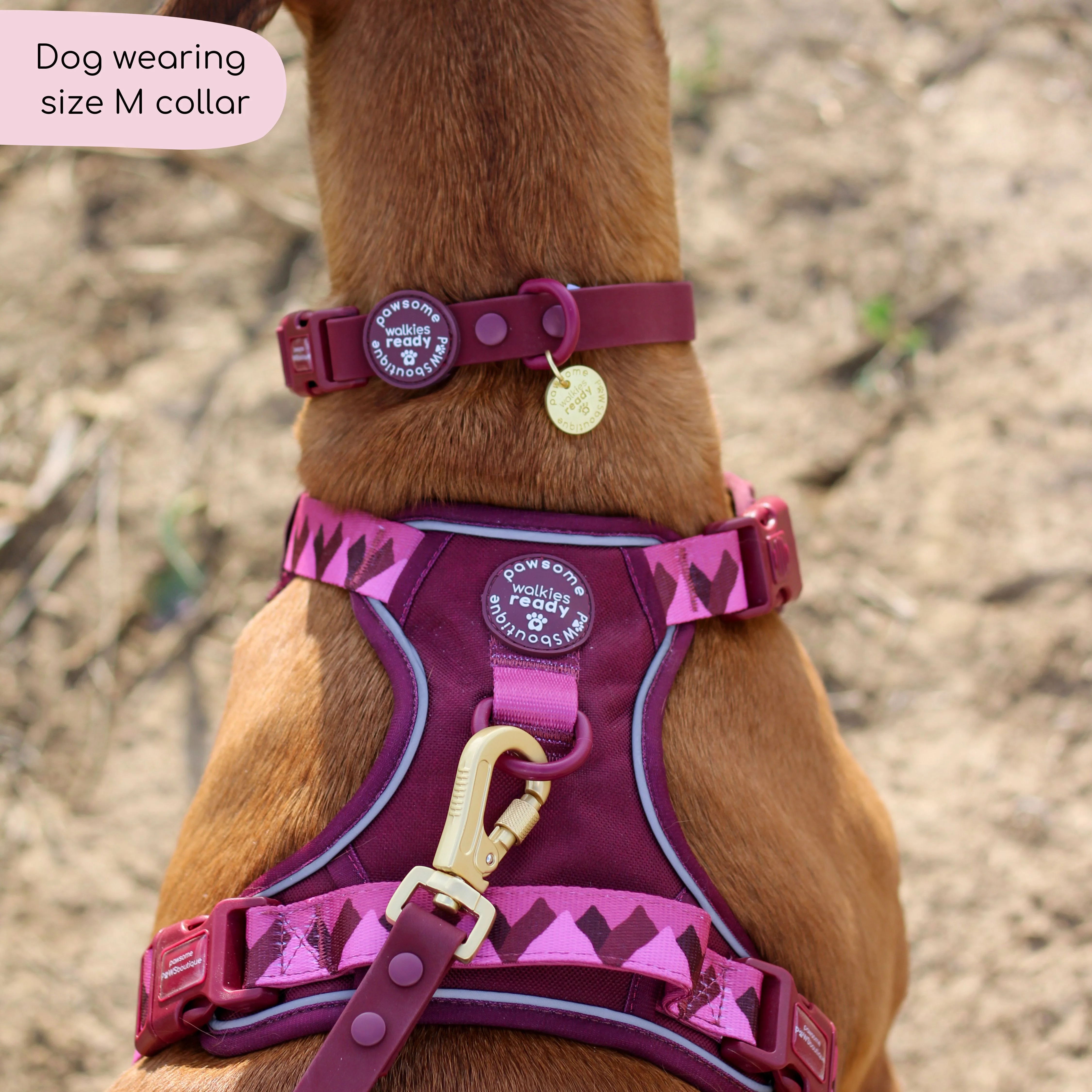 Waterproof Collar - Walkies Ready® Mulberry - Image 8