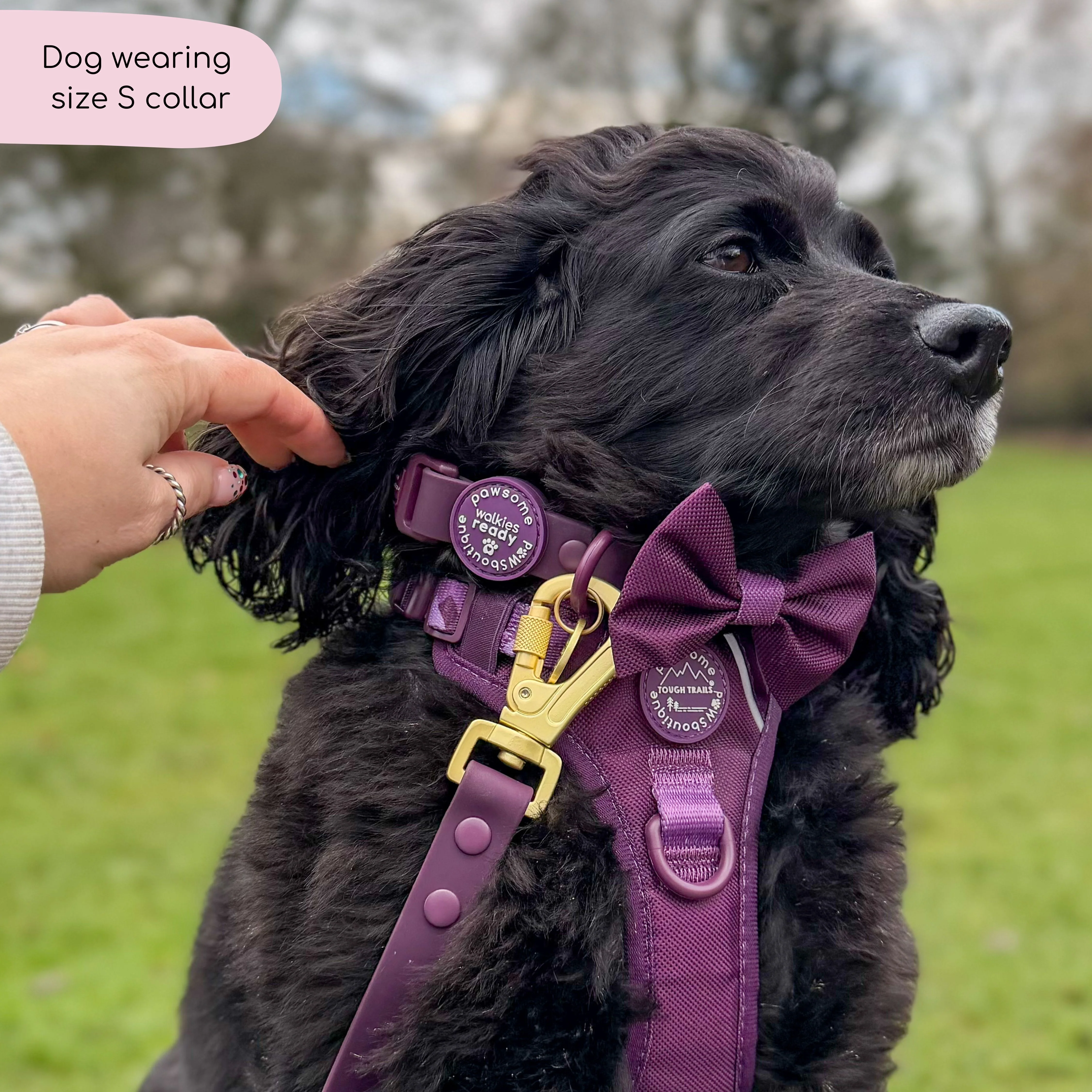 Waterproof Collar - Walkies Ready® Plum - Image 10