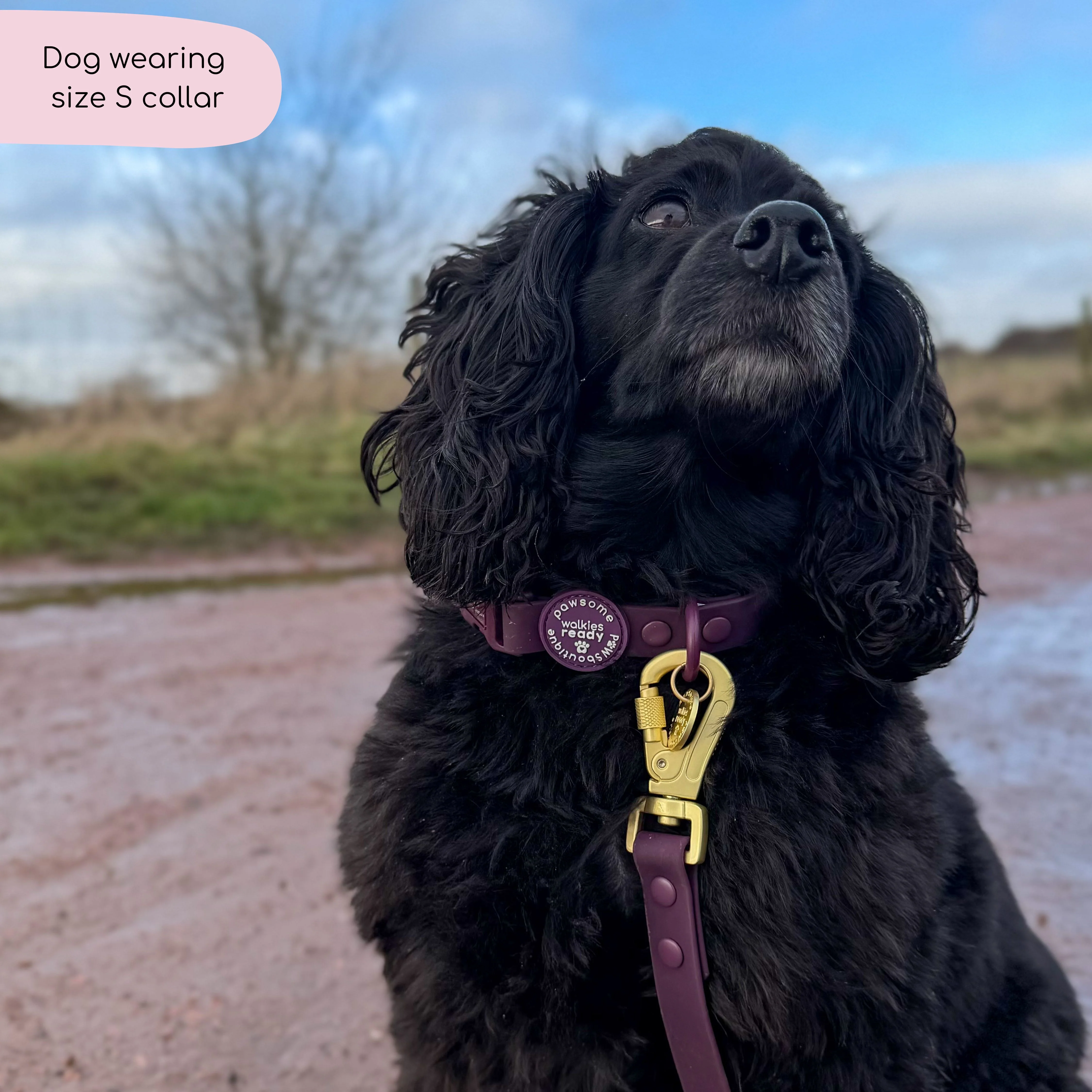 Waterproof Collar - Walkies Ready® Plum - Image 7