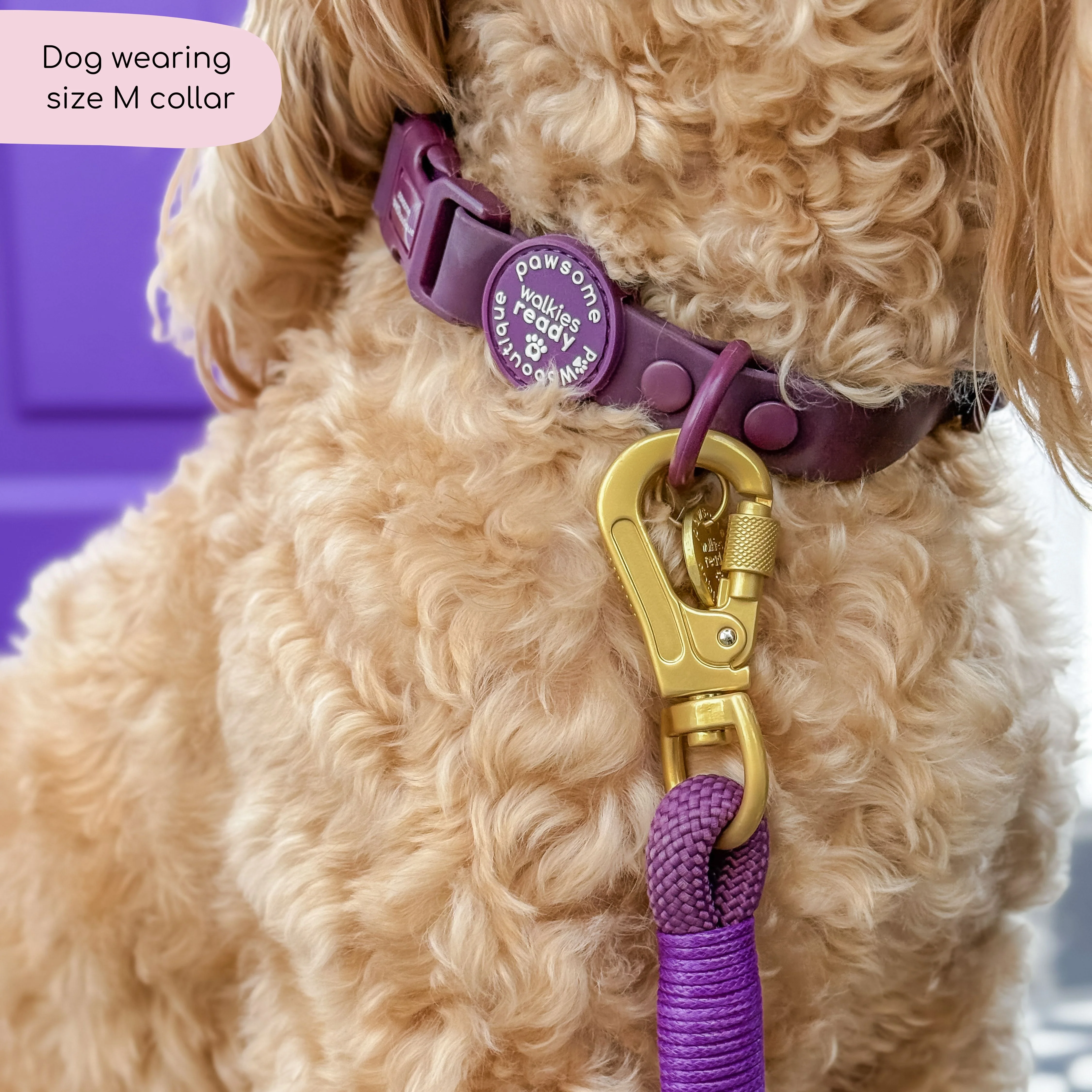 Waterproof Collar - Walkies Ready® Plum - Image 9