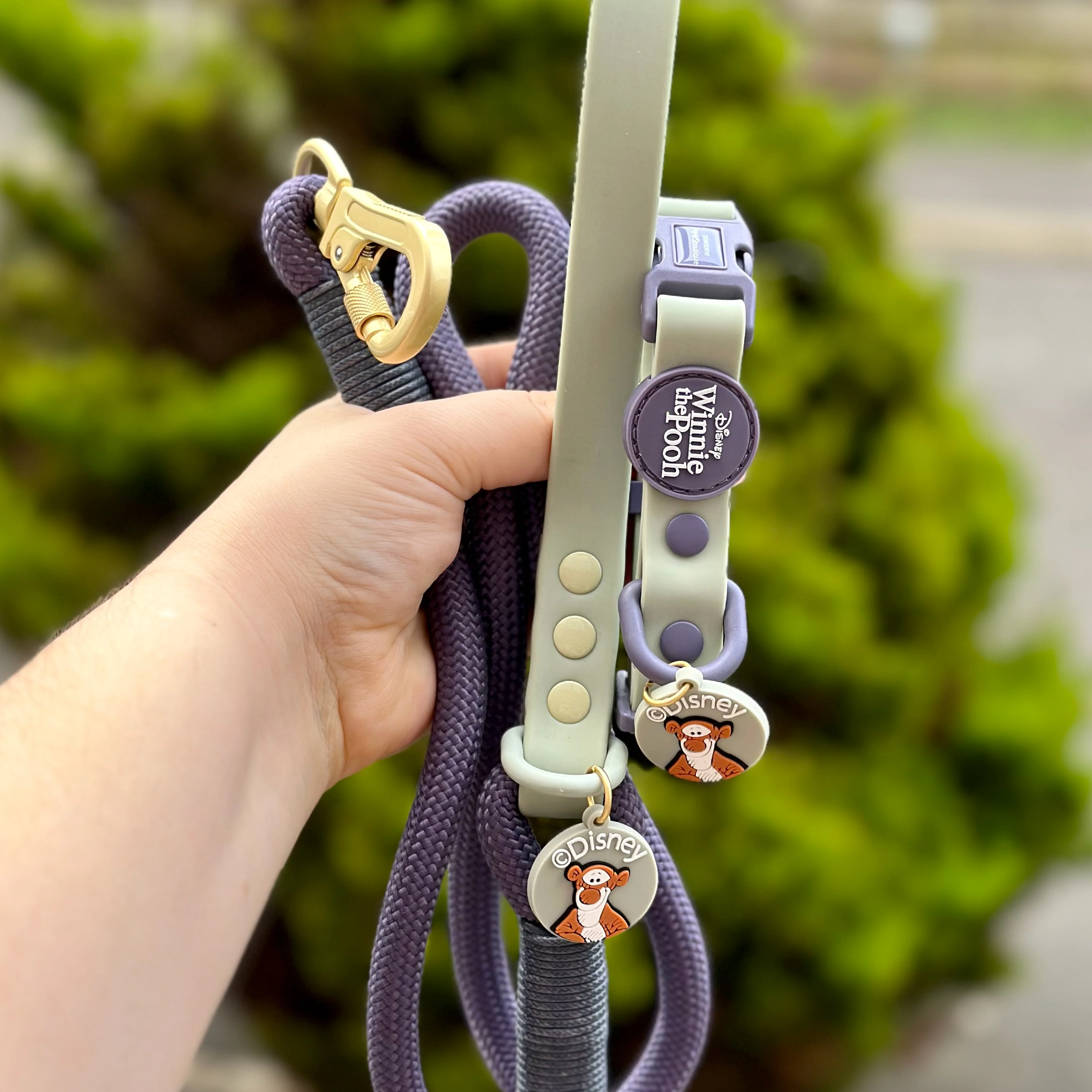 Disney© Waterproof Collar - Winnie + Friends - Image 5