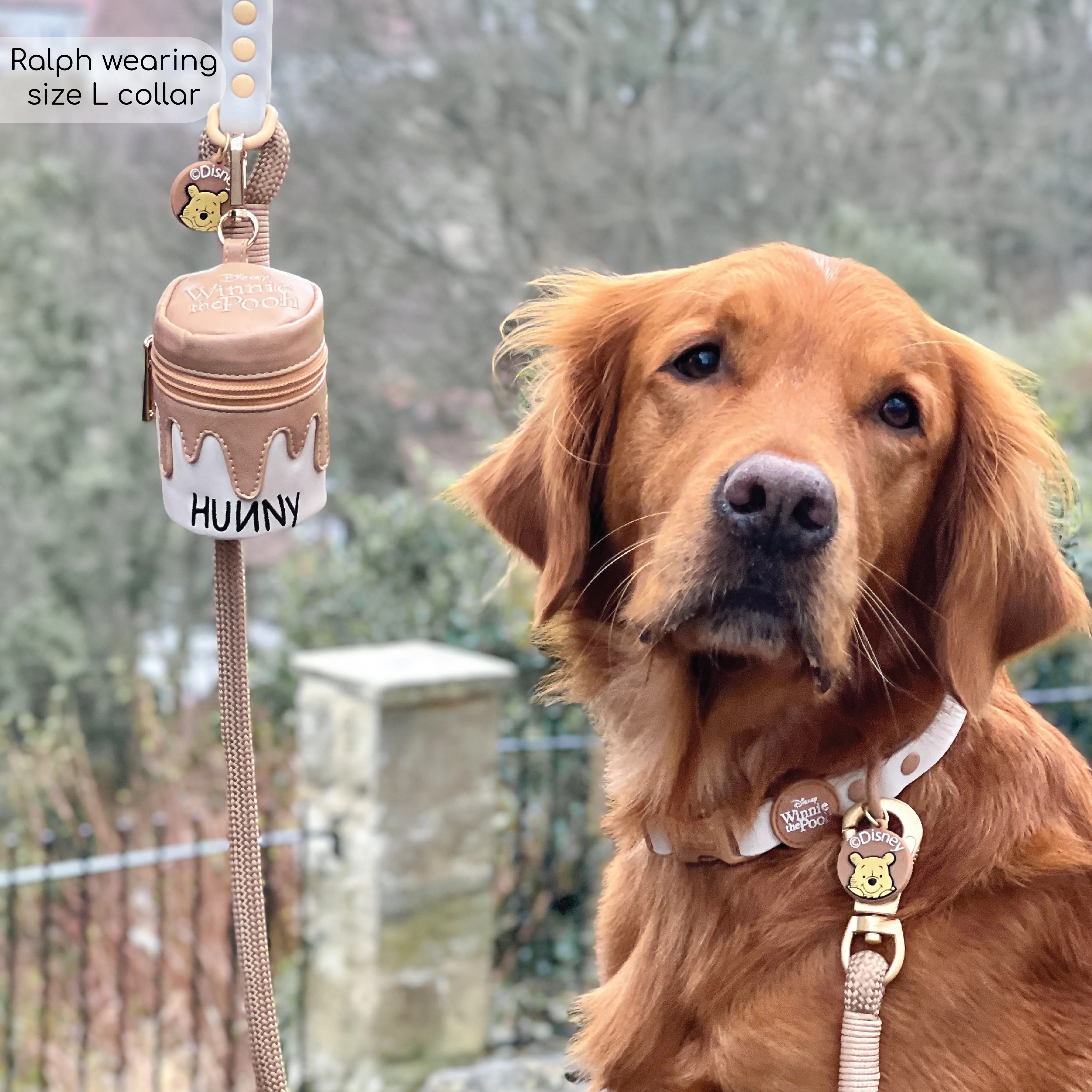 Disney© Waterproof Collar - Winnie The Pooh - Image 7