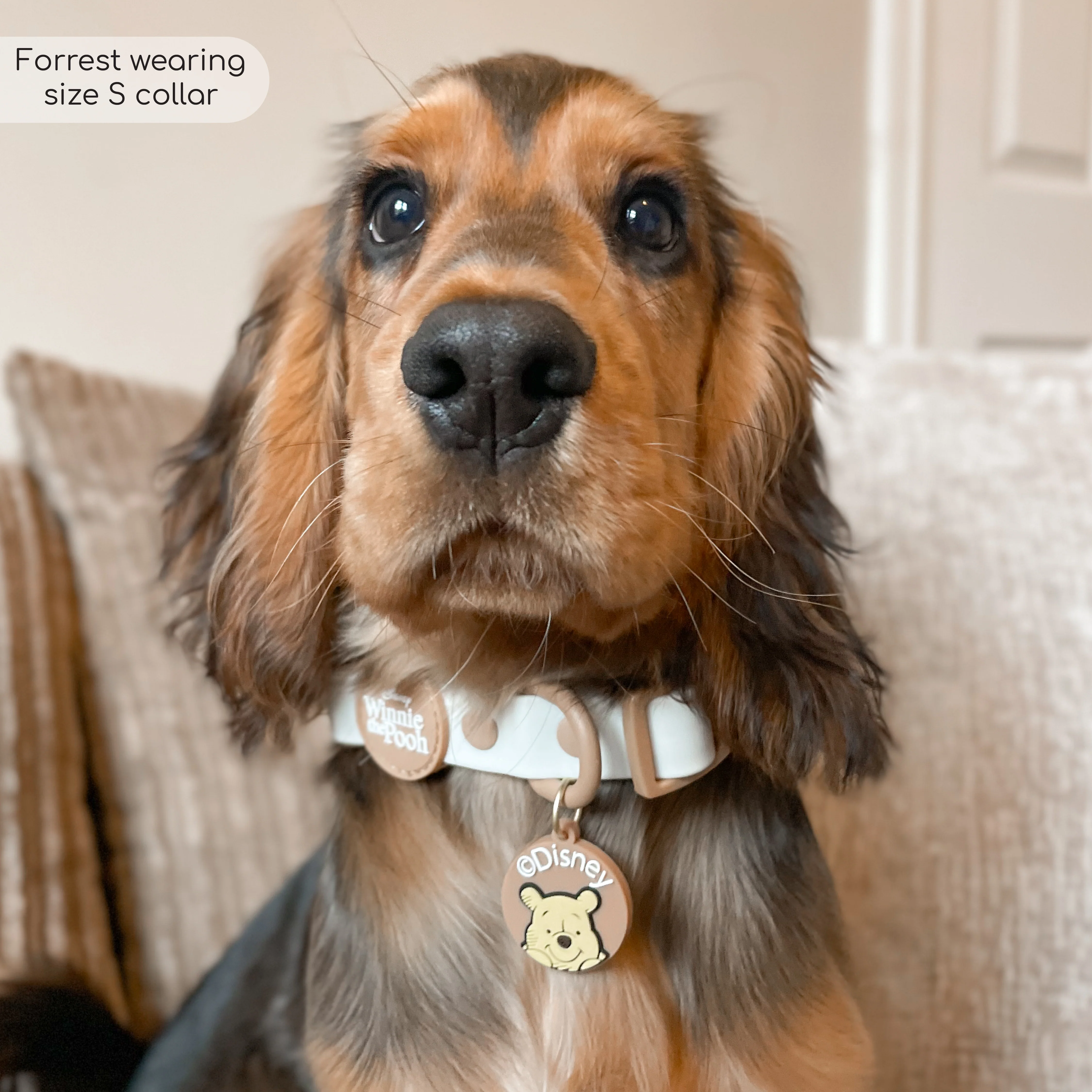 Disney© Waterproof Collar - Winnie The Pooh - Image 8