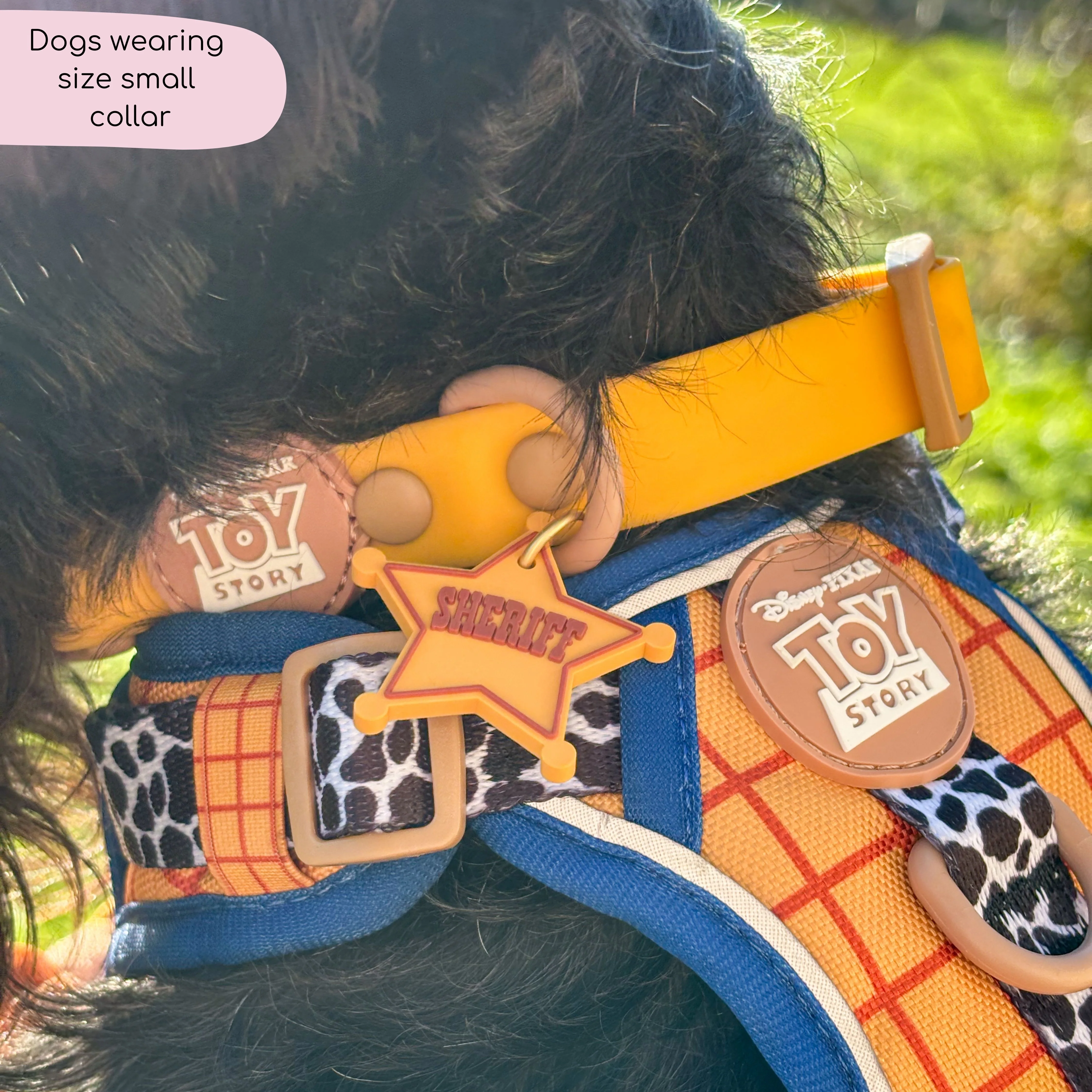 Disney© Waterproof Collar - Woody - Image 7